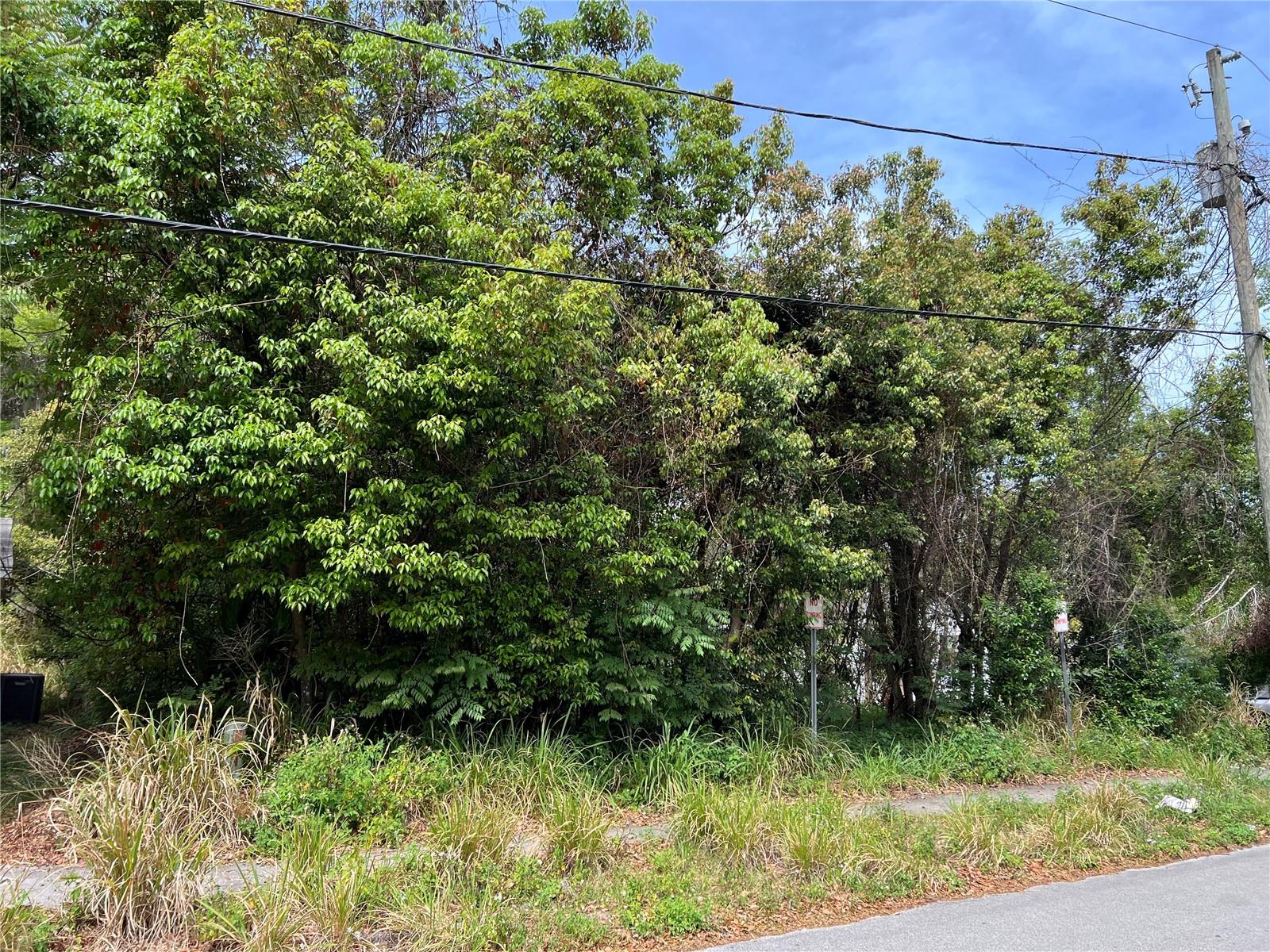425 S ORANGE AVE, ORANGE CITY, FL, 32763