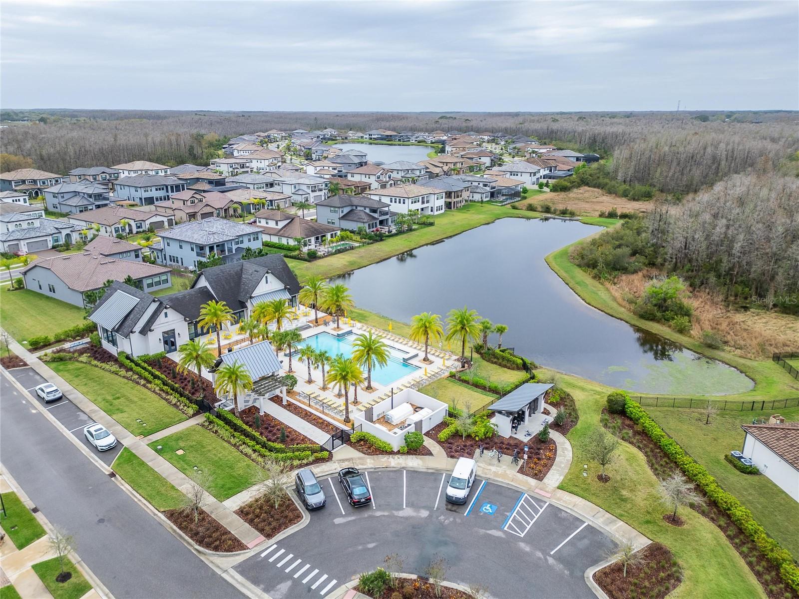 19611 CYPRESS BRIDGE DR, ODESSA, FL, 33556