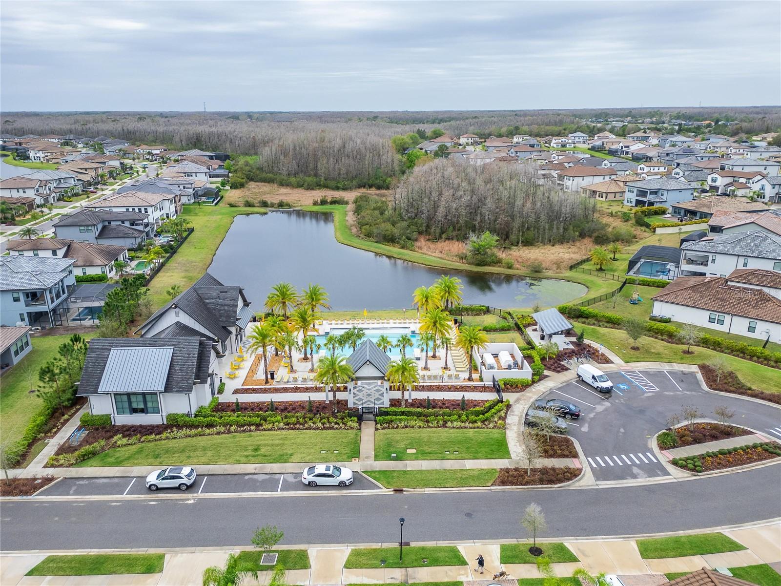 19611 CYPRESS BRIDGE DR, ODESSA, FL, 33556