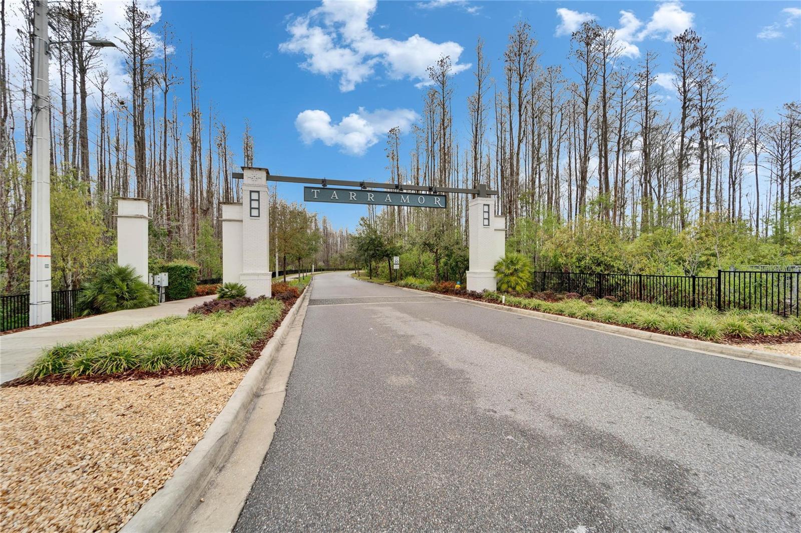 19611 CYPRESS BRIDGE DR, ODESSA, FL, 33556