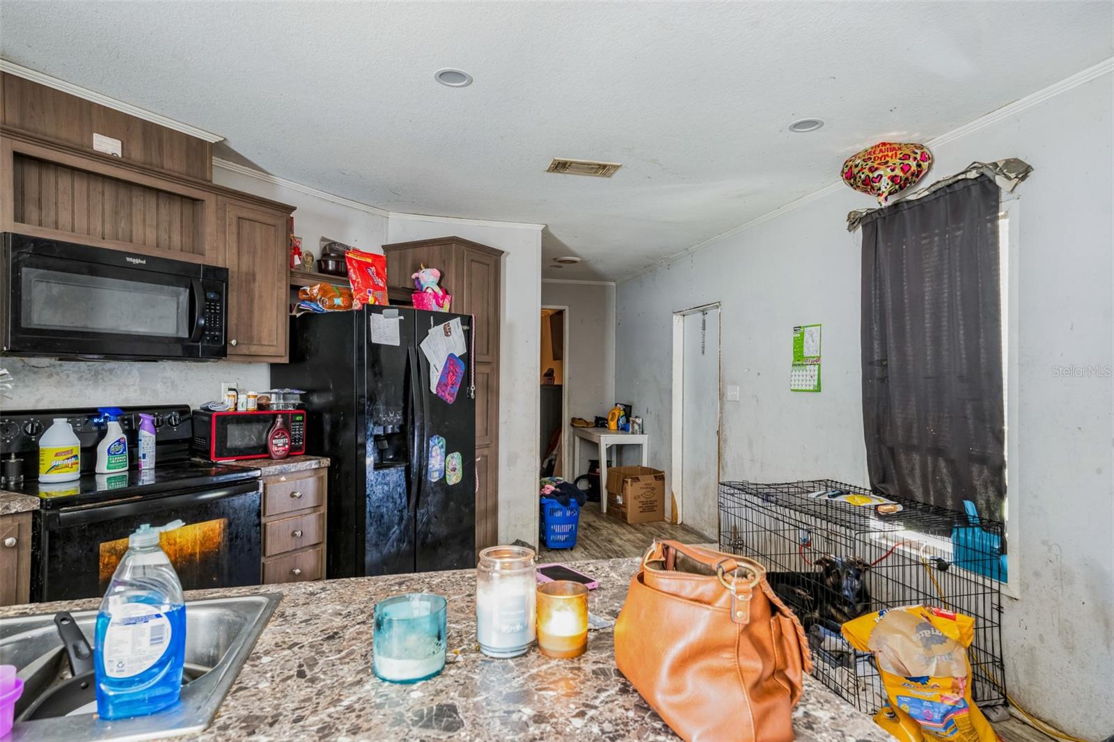 134 LICHTENWALTER RD, WINTER HAVEN, FL, 33880