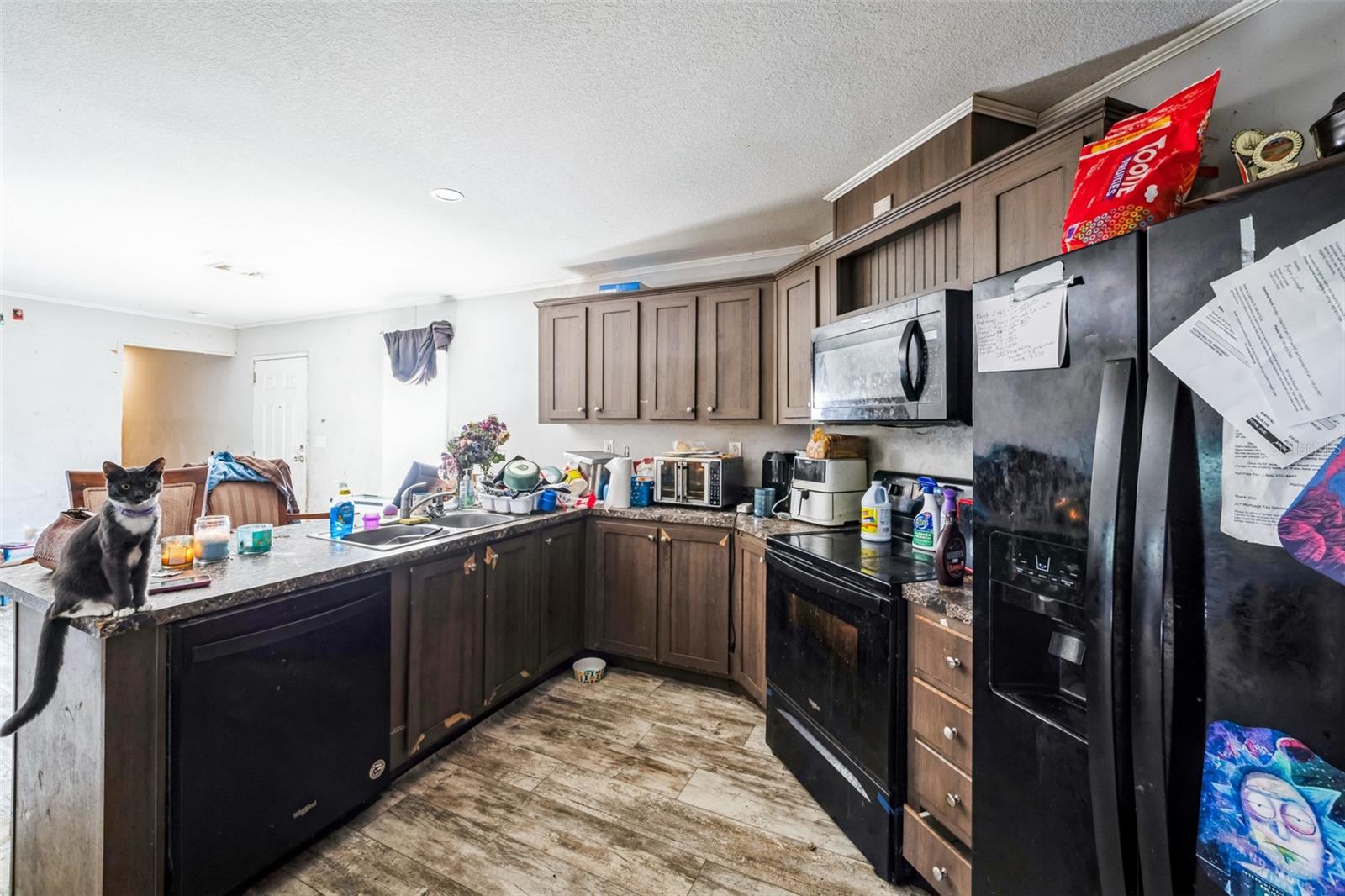 134 LICHTENWALTER RD, WINTER HAVEN, FL, 33880