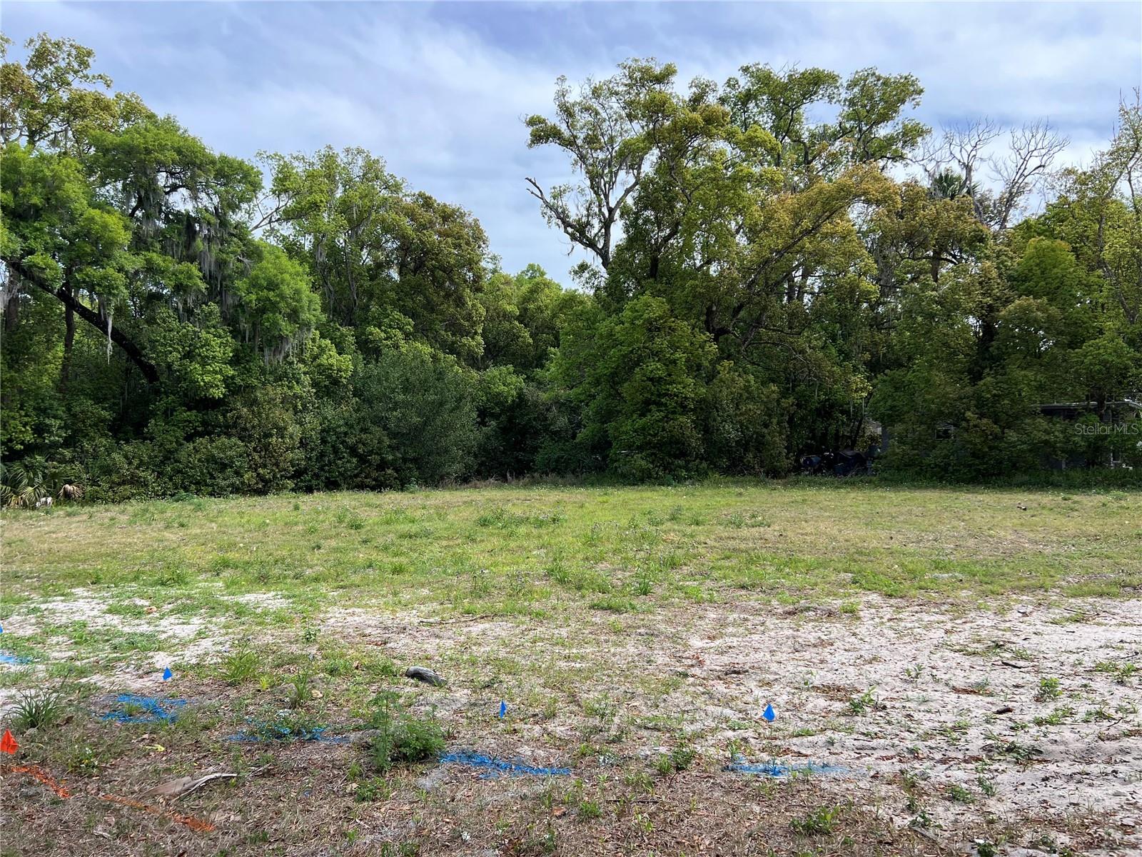 461 E BLUE SPRINGS AVE, ORANGE CITY, FL, 32763