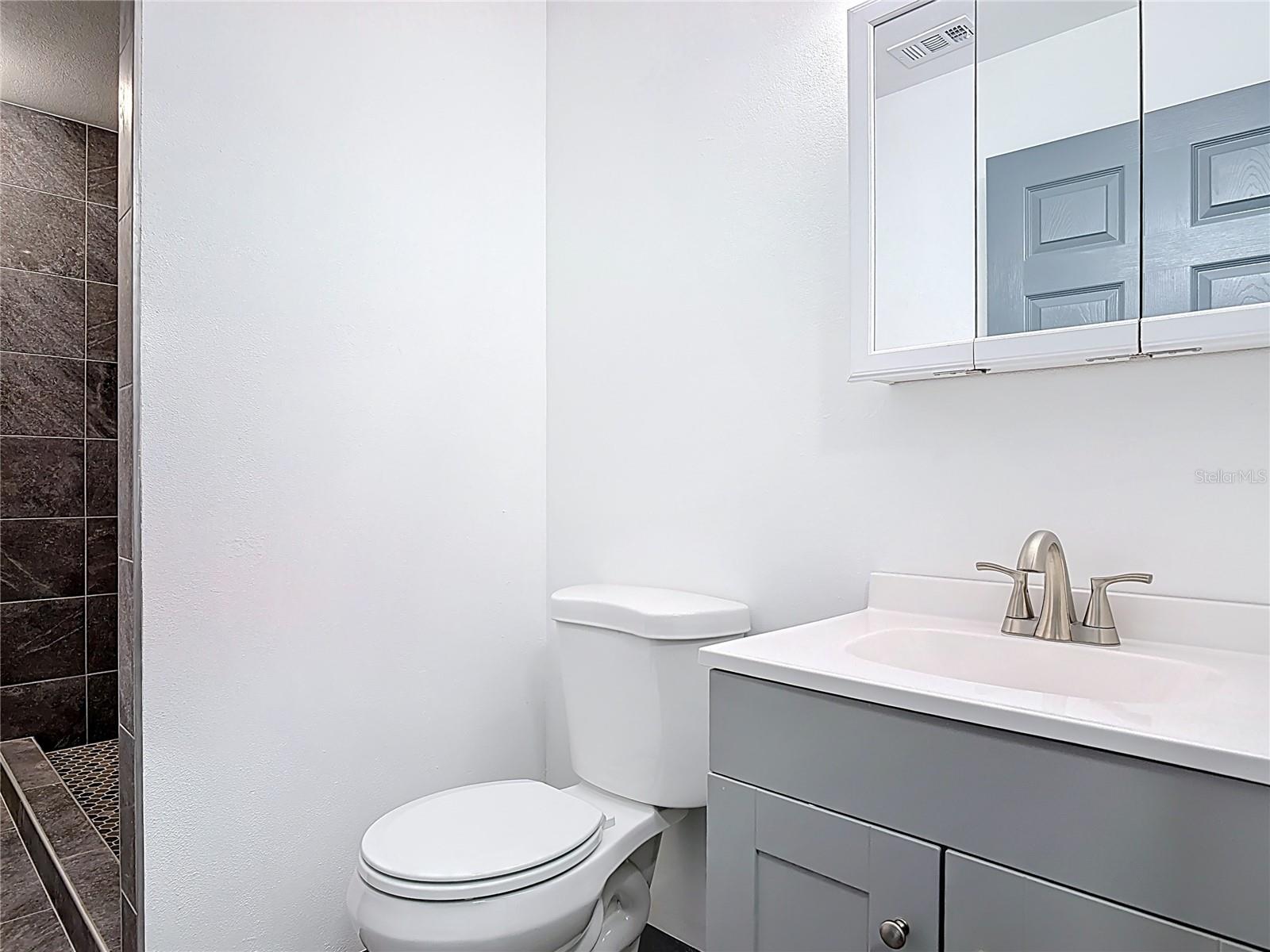 145 W FERN DR, ORANGE CITY, FL, 32763