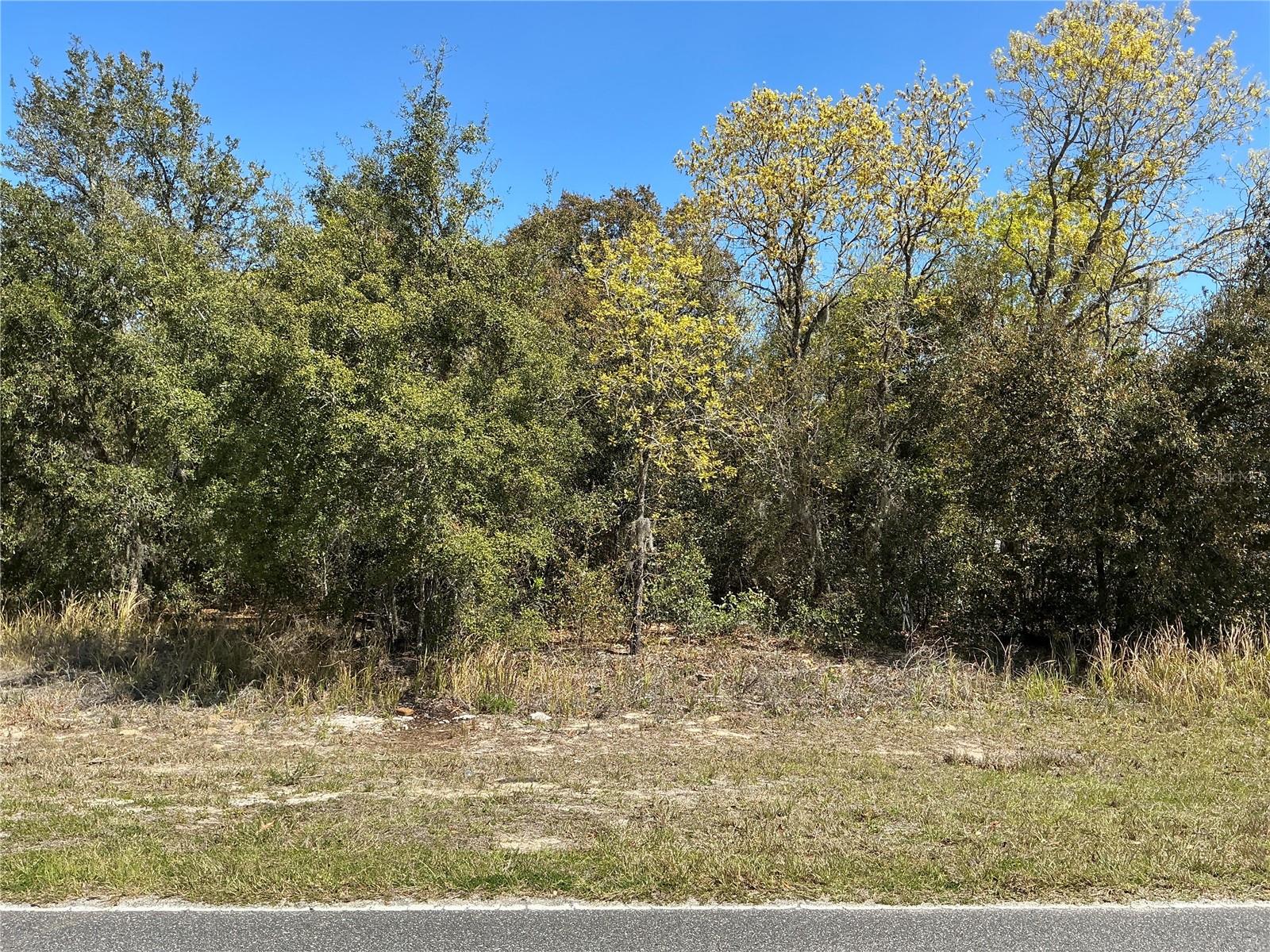 BAHIA RD, OCALA, FL, 34472