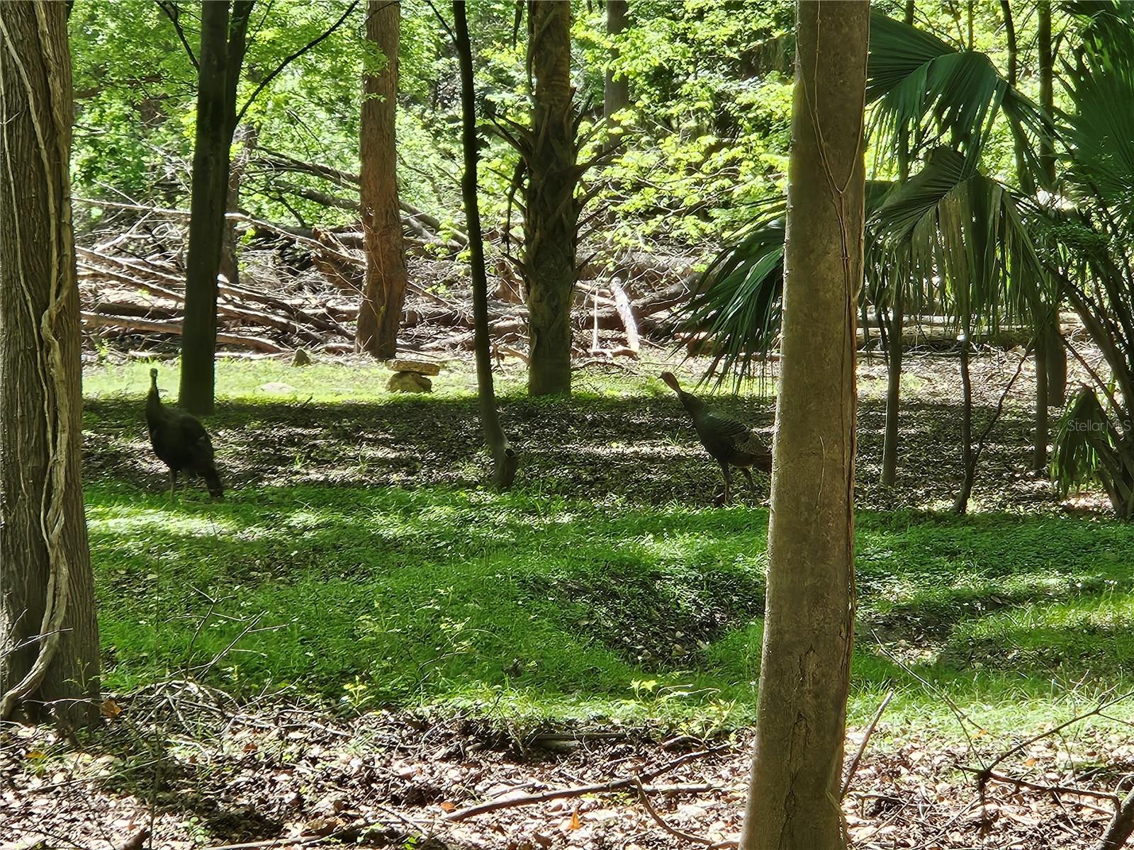 00 NW 35TH AVE, GAINESVILLE, FL, 32606