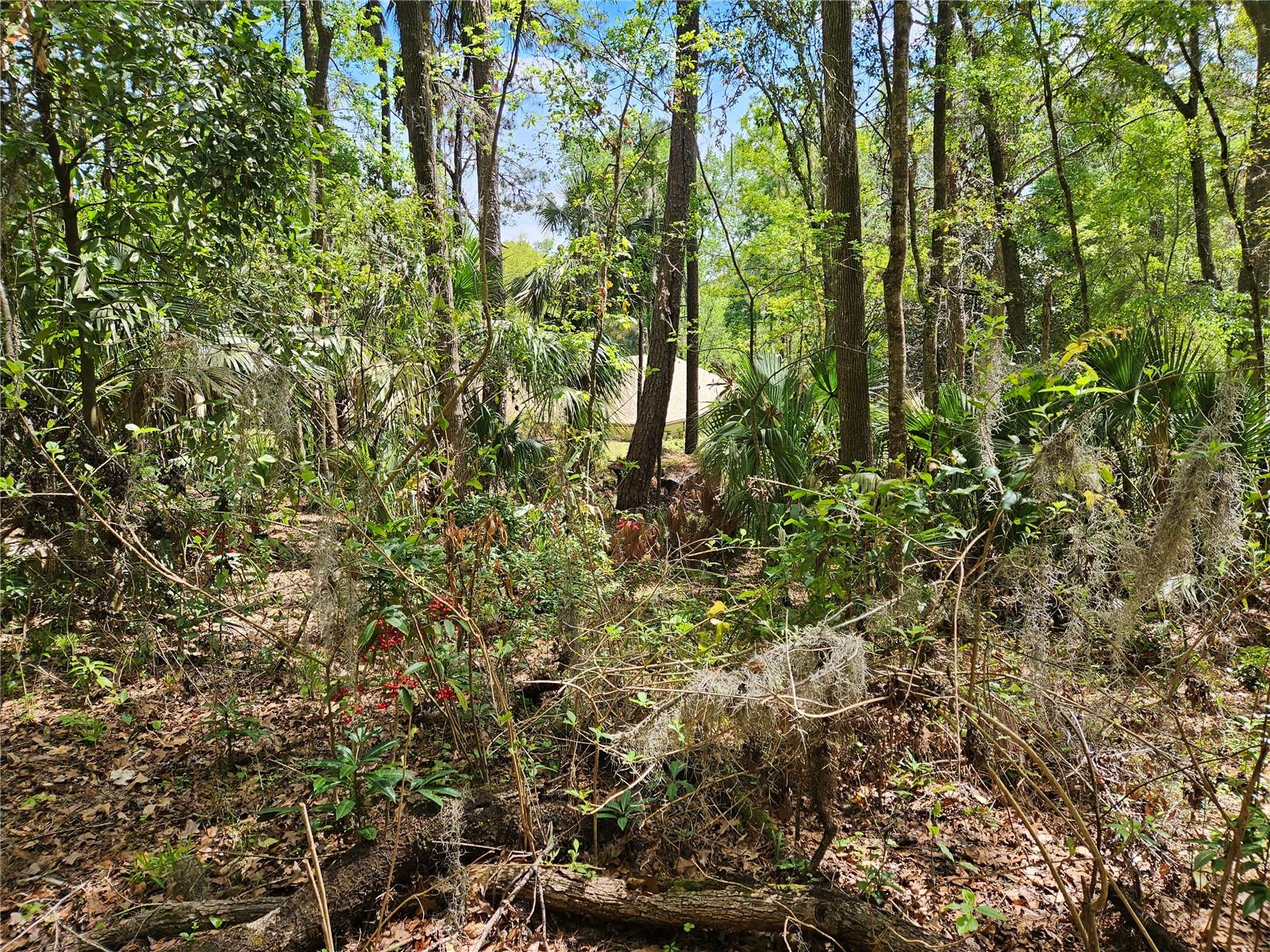 00 NW 35TH AVE, GAINESVILLE, FL, 32606