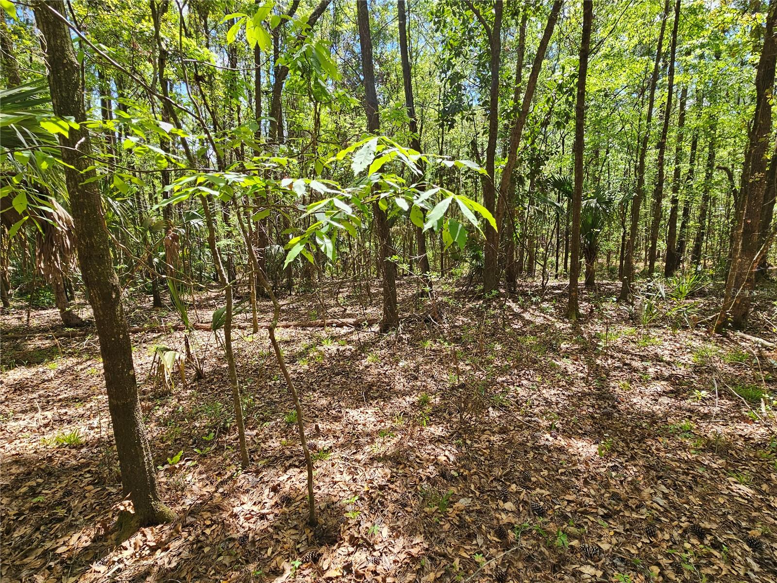 00 NW 35TH AVE, GAINESVILLE, FL, 32606