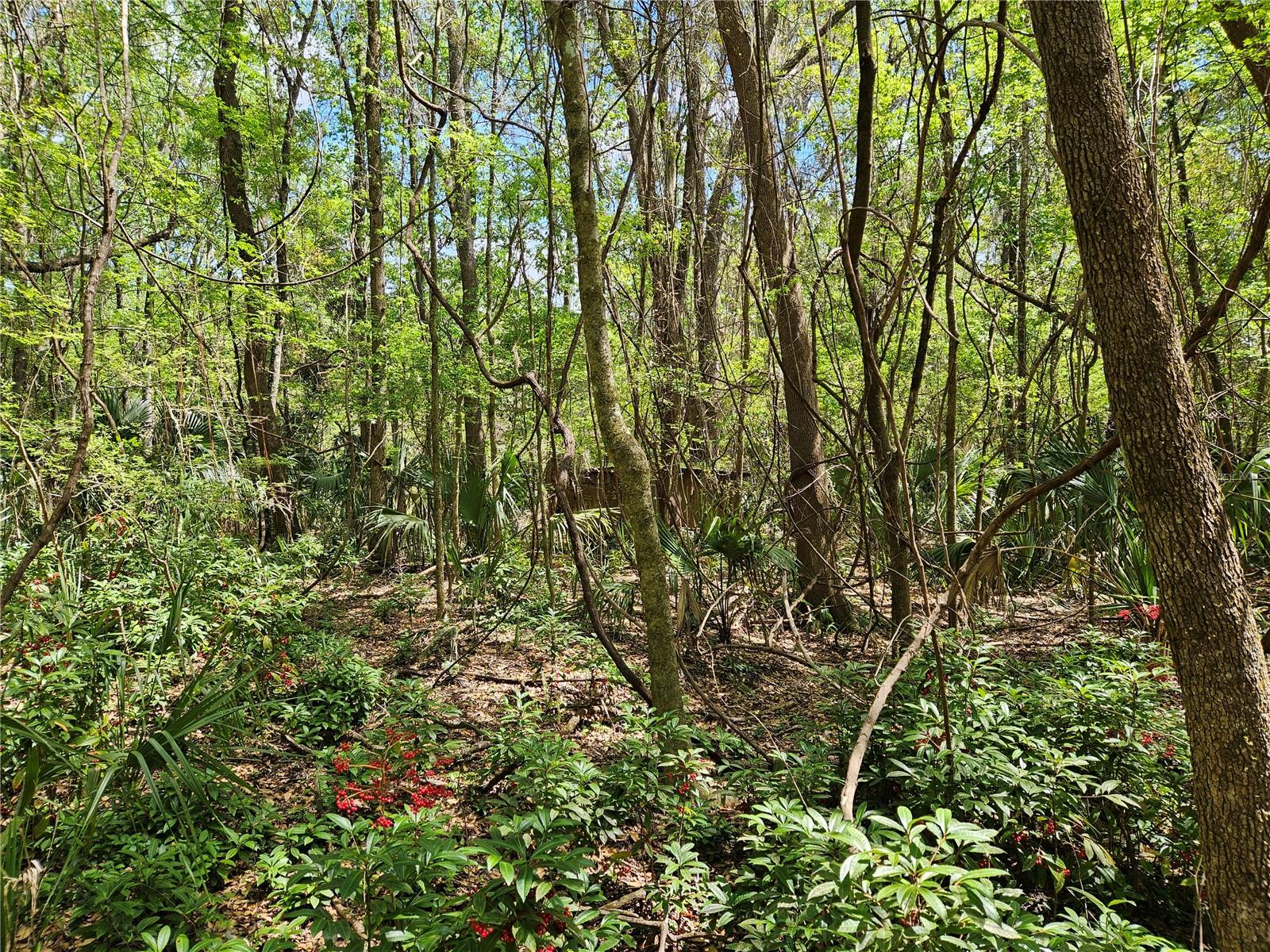 00 NW 35TH AVE, GAINESVILLE, FL, 32606