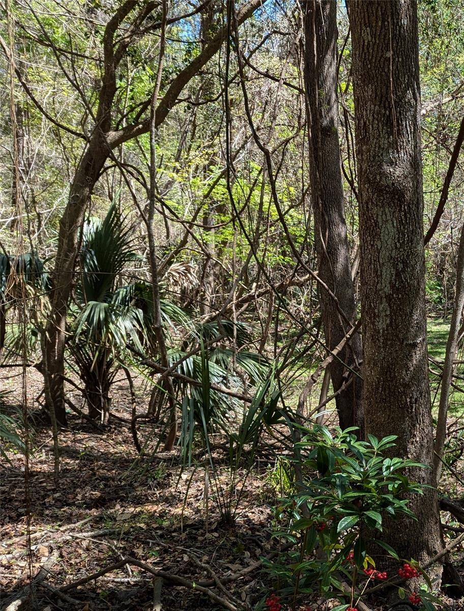 00 NW 35TH AVE, GAINESVILLE, FL, 32606