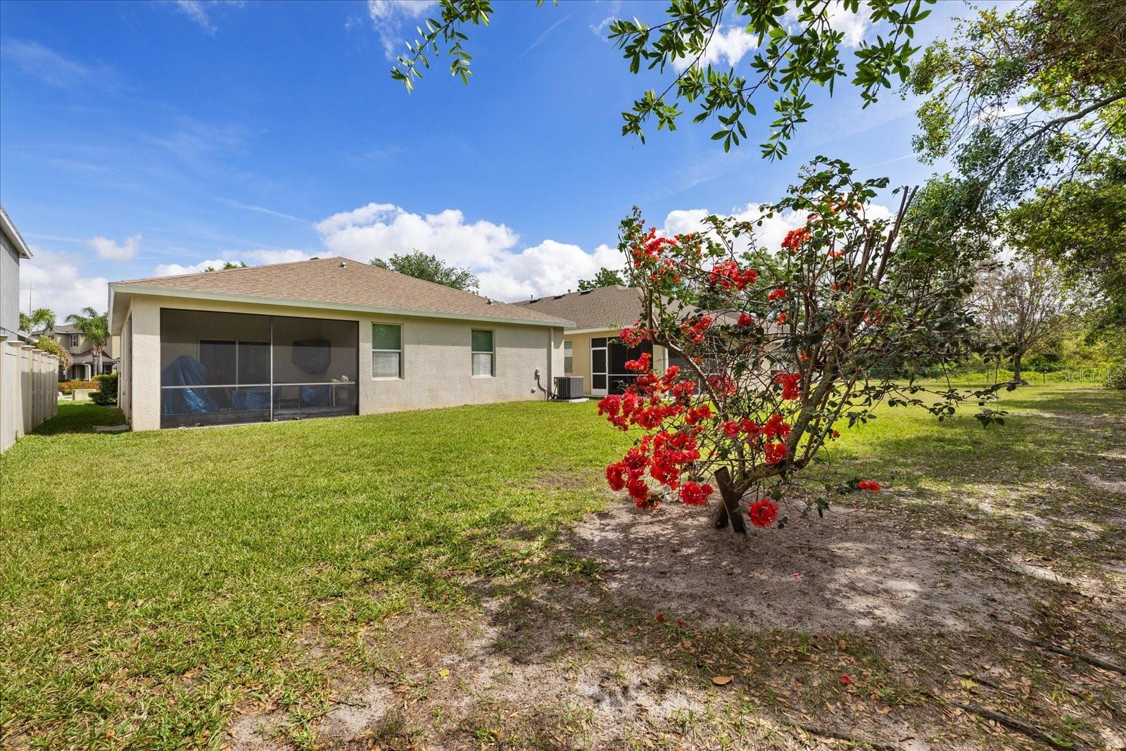 12934 TIKAL WAY, TRINITY, FL, 34655