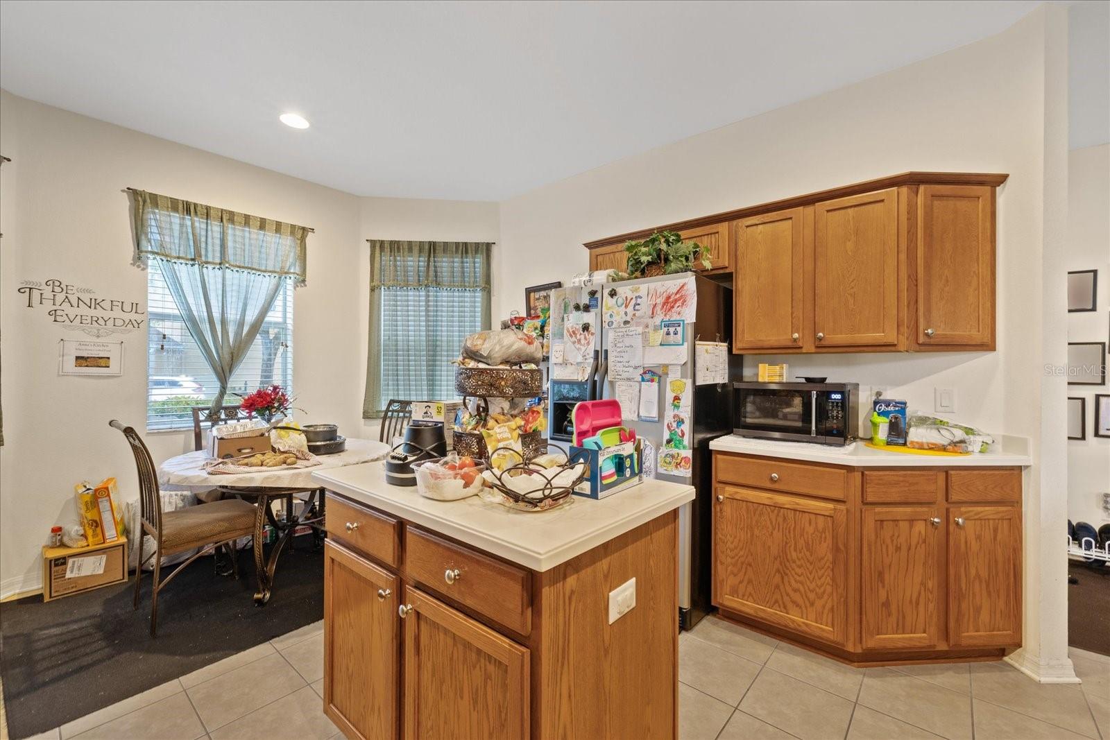 12934 TIKAL WAY, TRINITY, FL, 34655