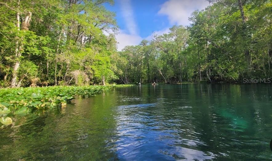 Lot 1 LOCUST PASS CRSE, OCALA, FL, 34472