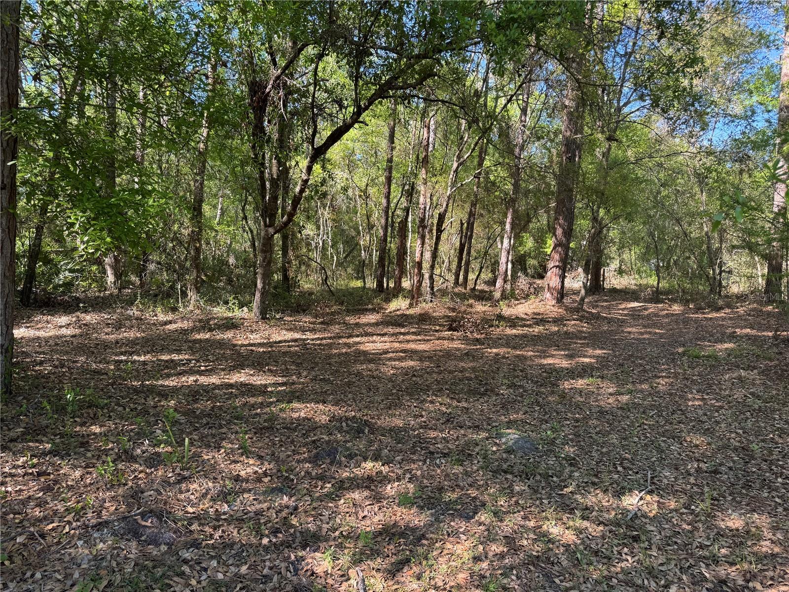 CR 609B, BUSHNELL, FL, 33513