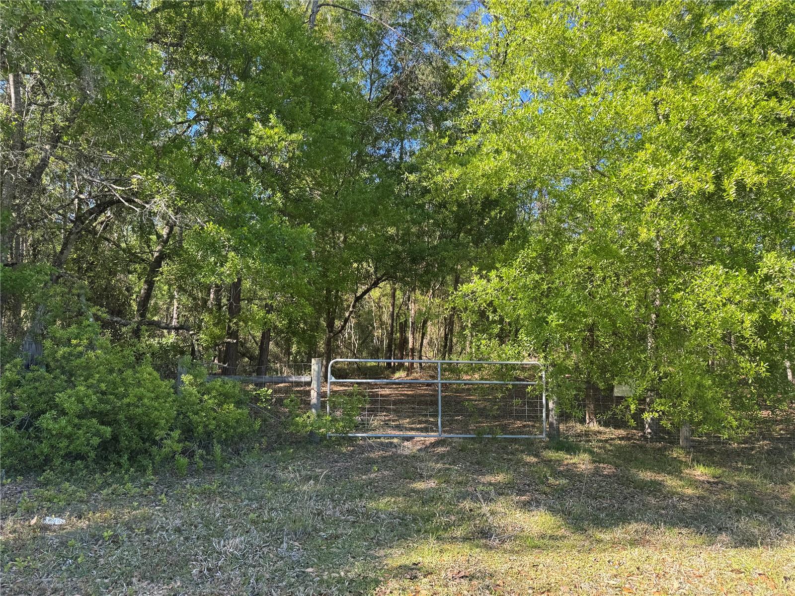 CR 609B, BUSHNELL, FL, 33513