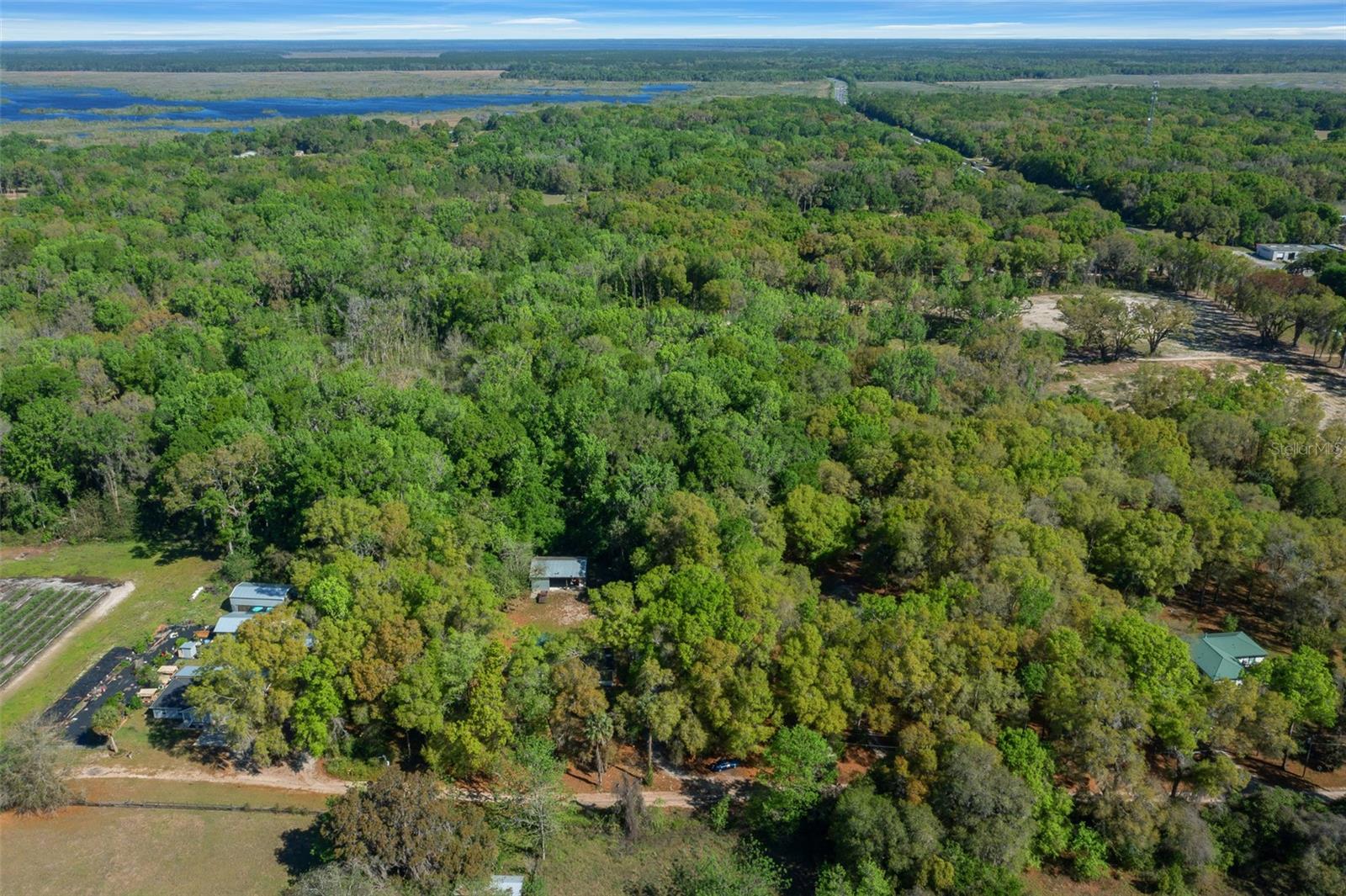 2005 NE 185TH ST, CITRA, FL, 32113