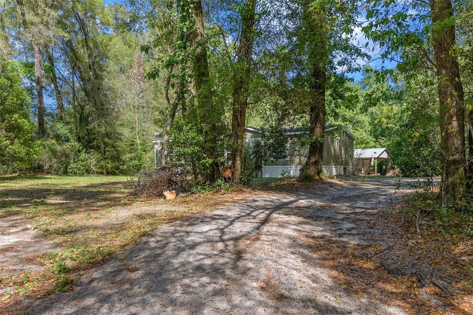 2005 NE 185TH ST, CITRA, FL, 32113