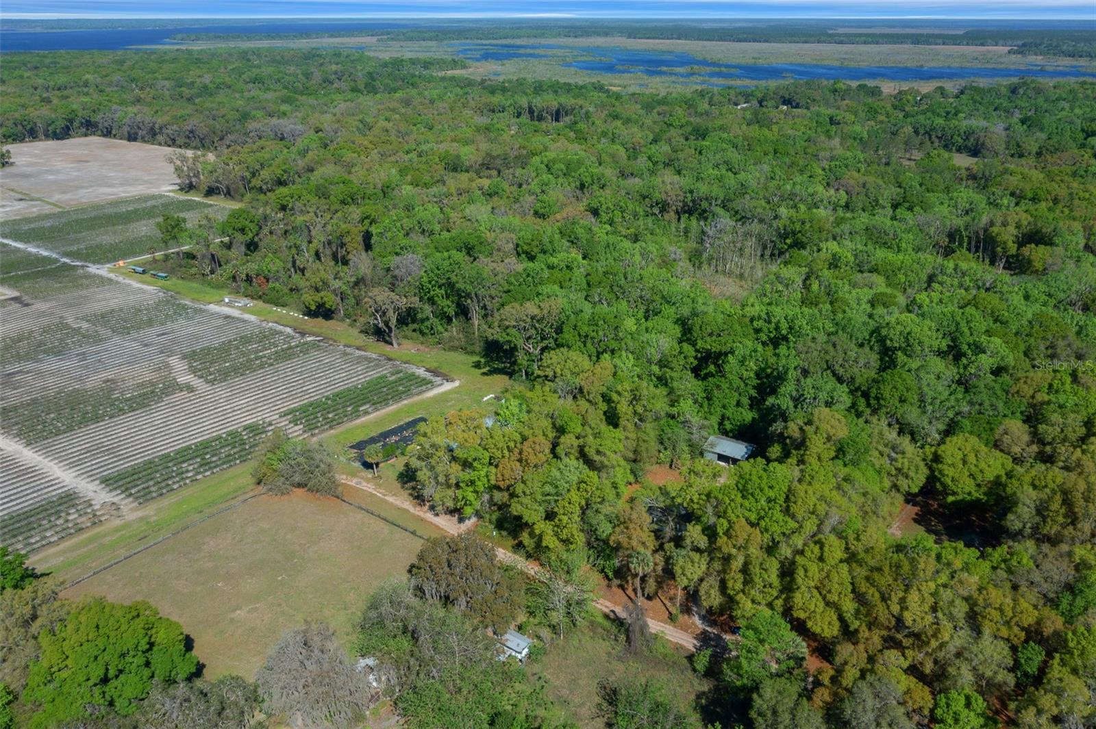 2005 NE 185TH ST, CITRA, FL, 32113