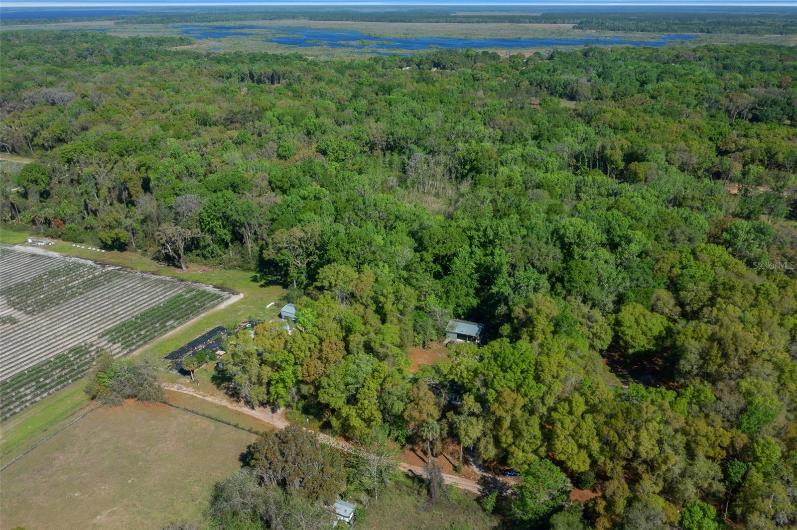 2005 NE 185TH ST, CITRA, FL, 32113