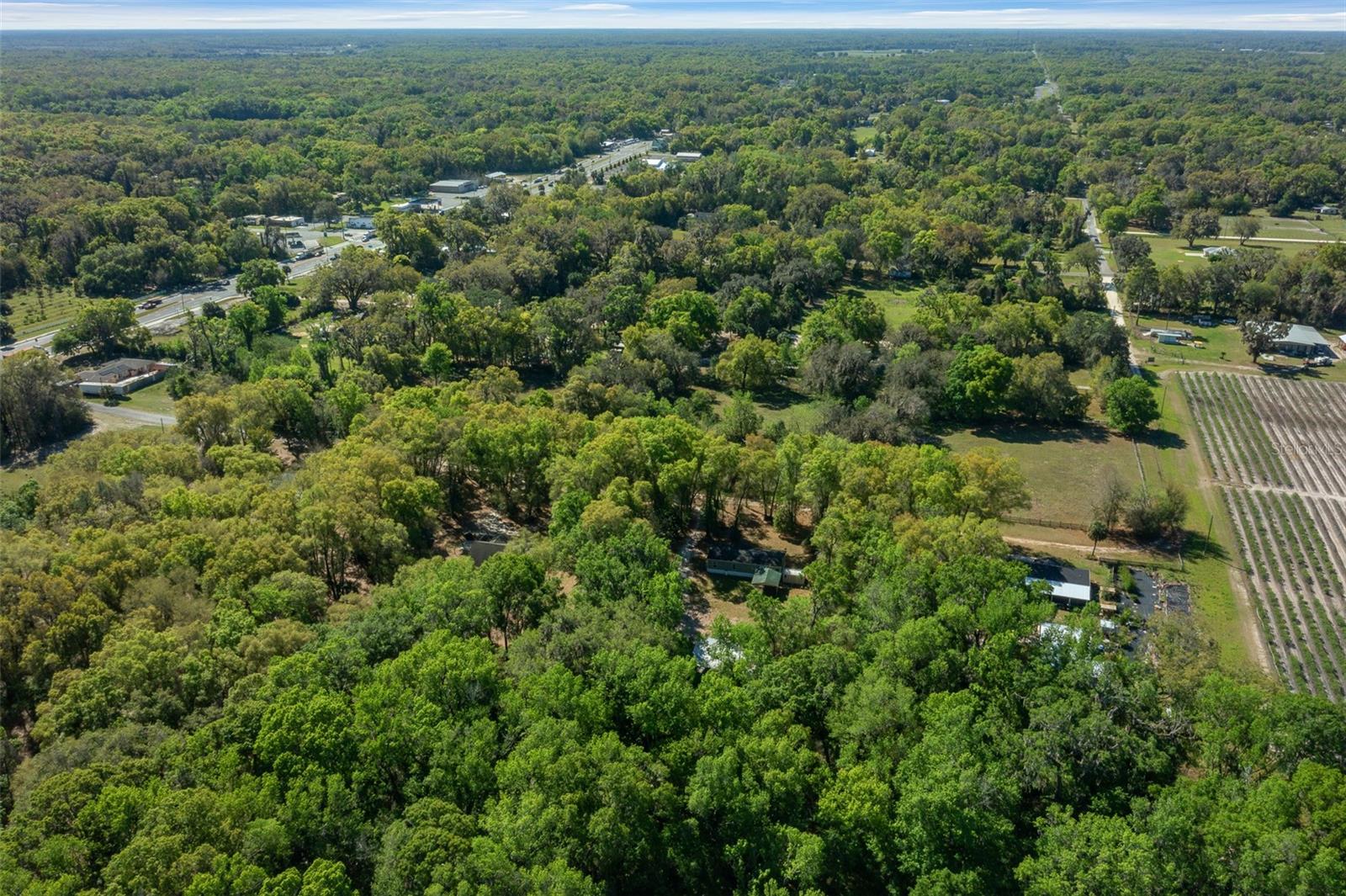 2005 NE 185TH ST, CITRA, FL, 32113