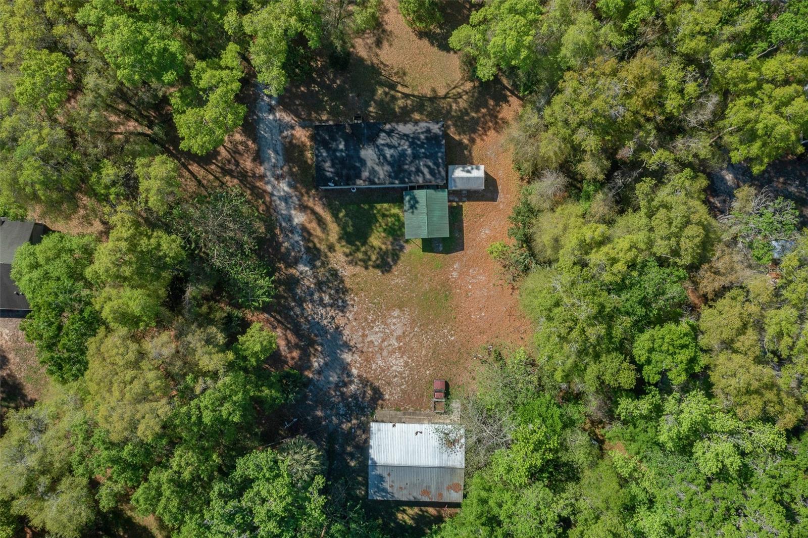 2005 NE 185TH ST, CITRA, FL, 32113