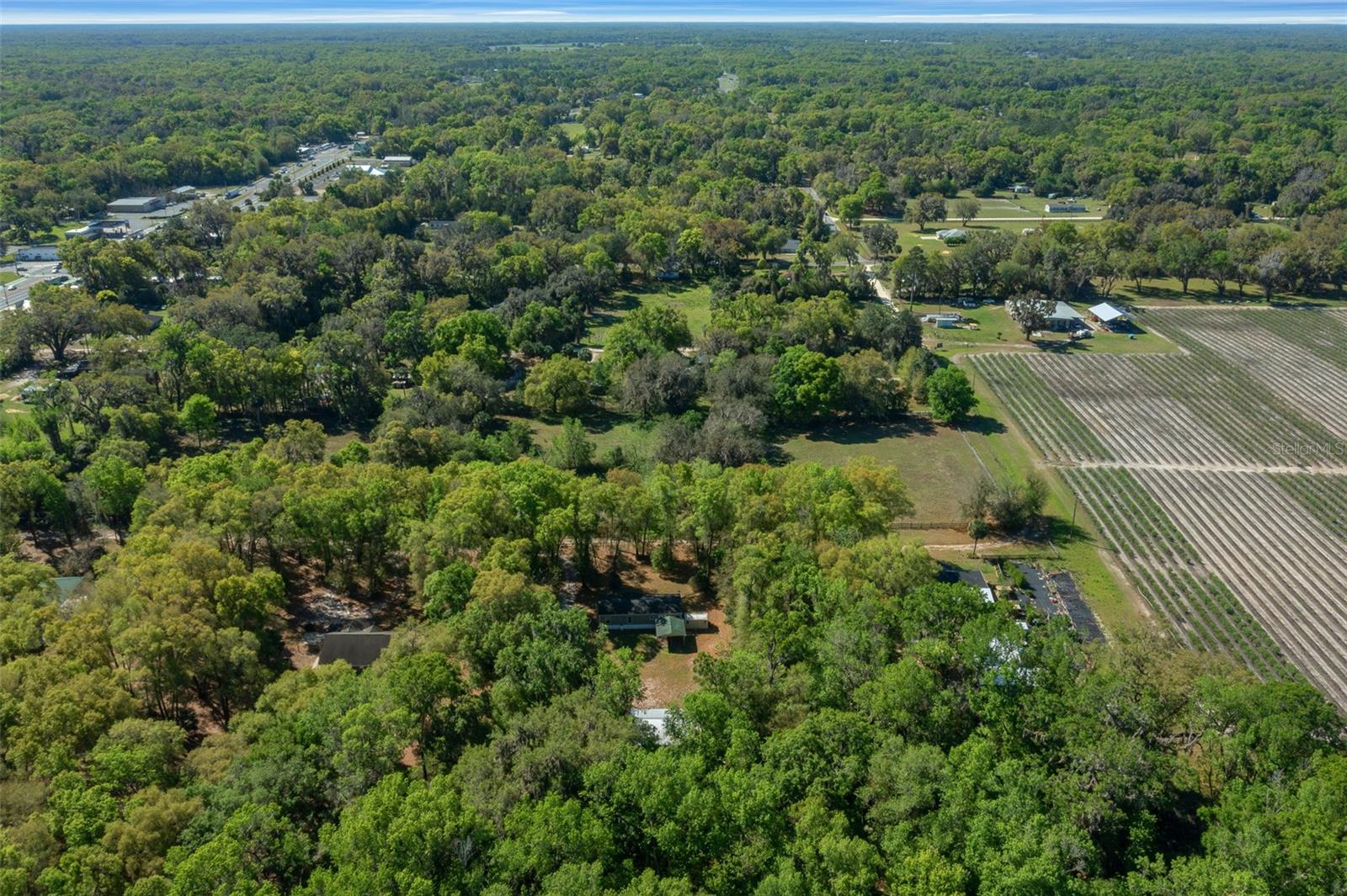2005 NE 185TH ST, CITRA, FL, 32113