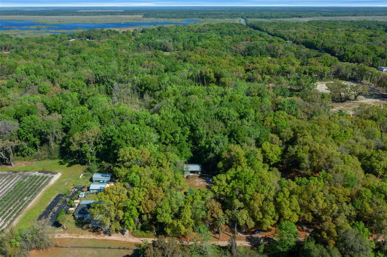 2005 NE 185TH ST, CITRA, FL, 32113