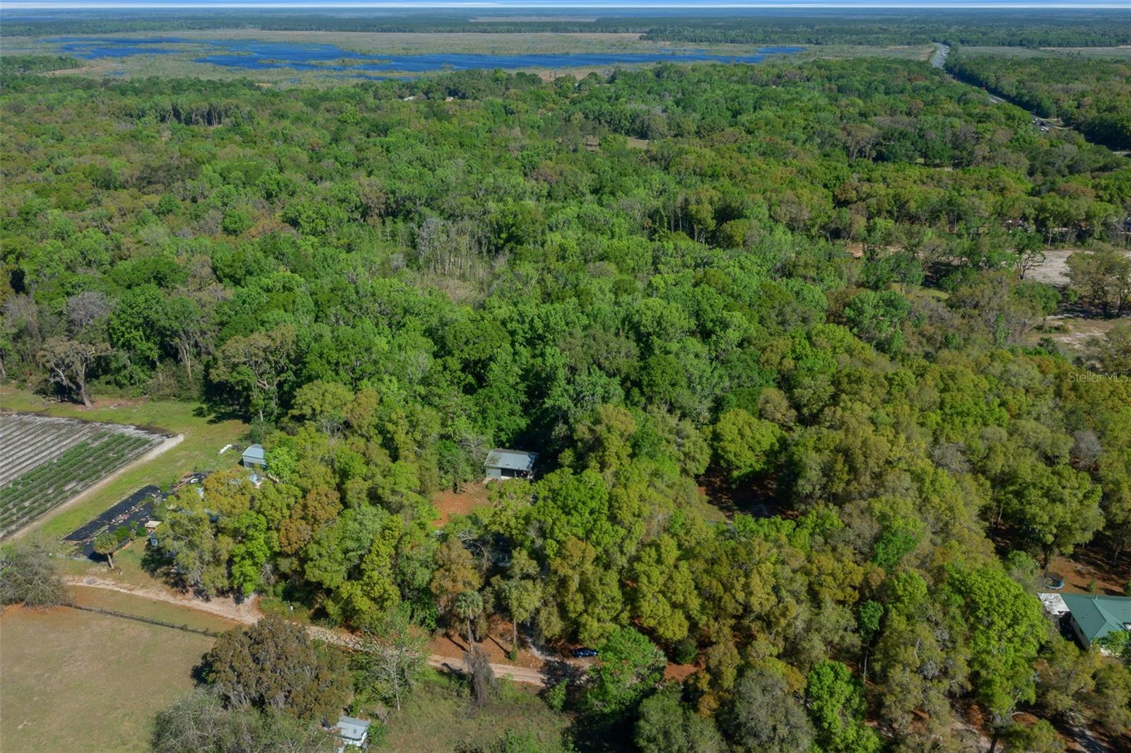 2005 NE 185TH ST, CITRA, FL, 32113