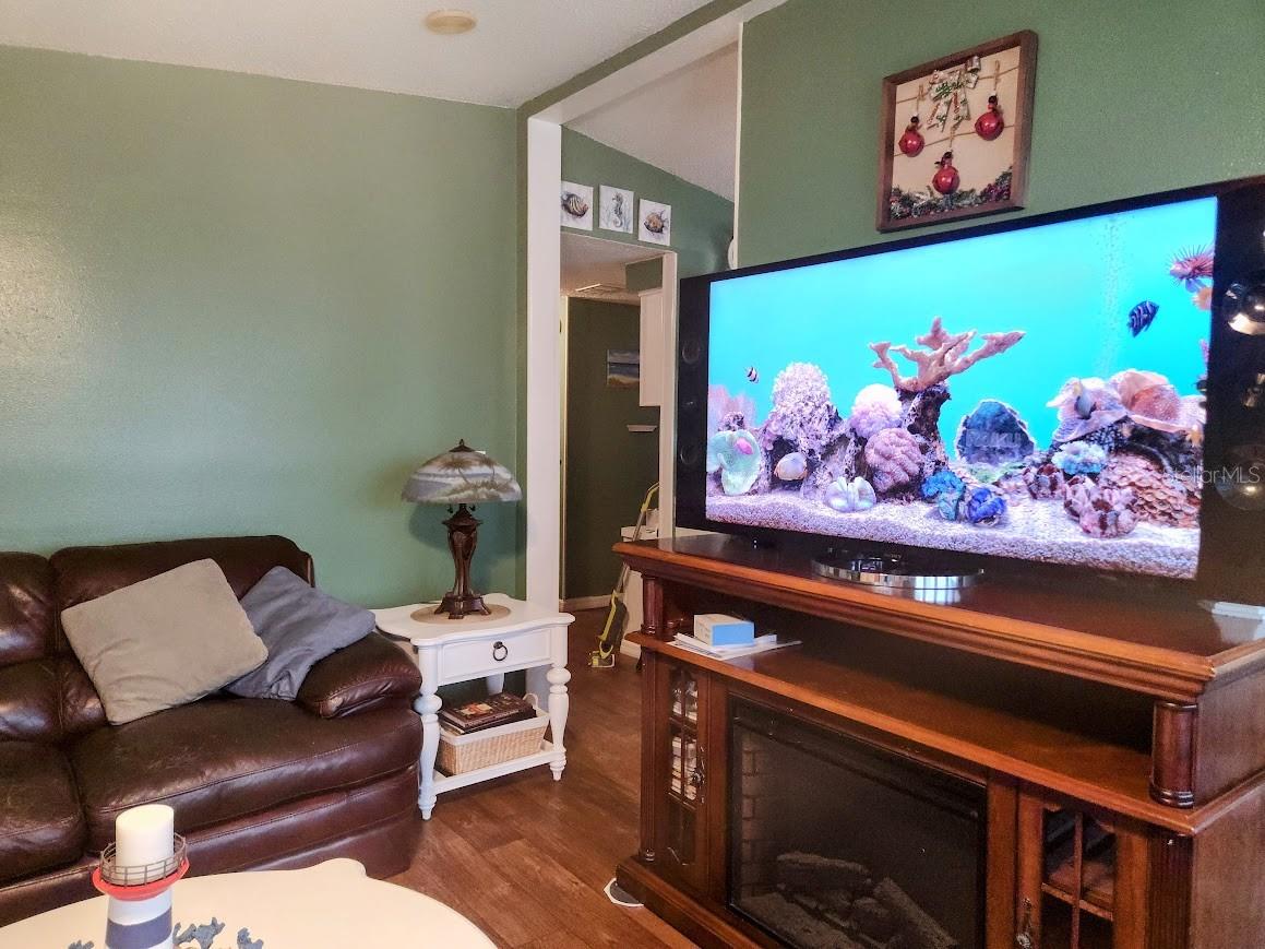 1205 DUSTIN DR, LADY LAKE, FL, 32159