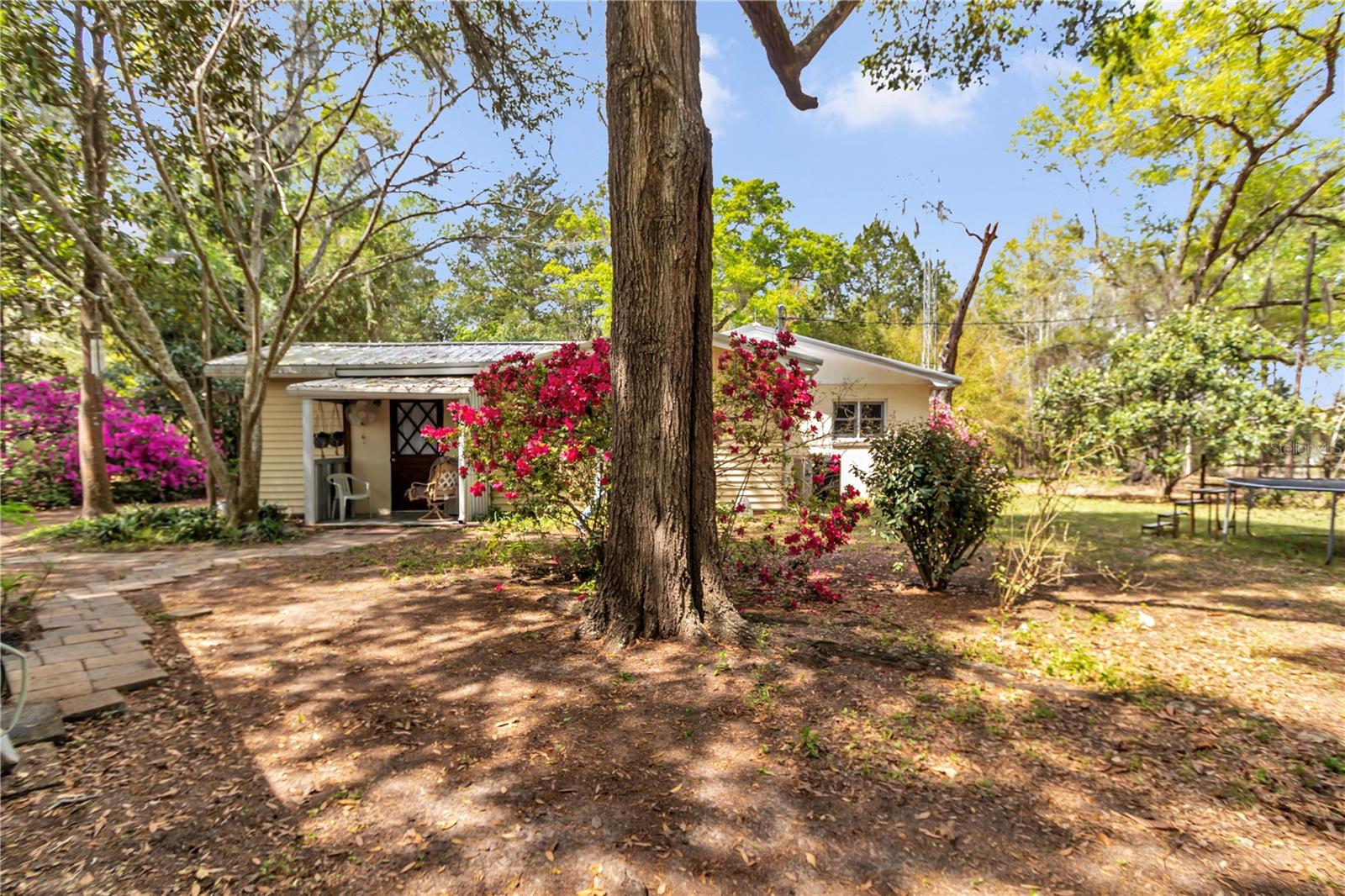 751 NE 140TH AVE, WILLISTON, FL, 32696