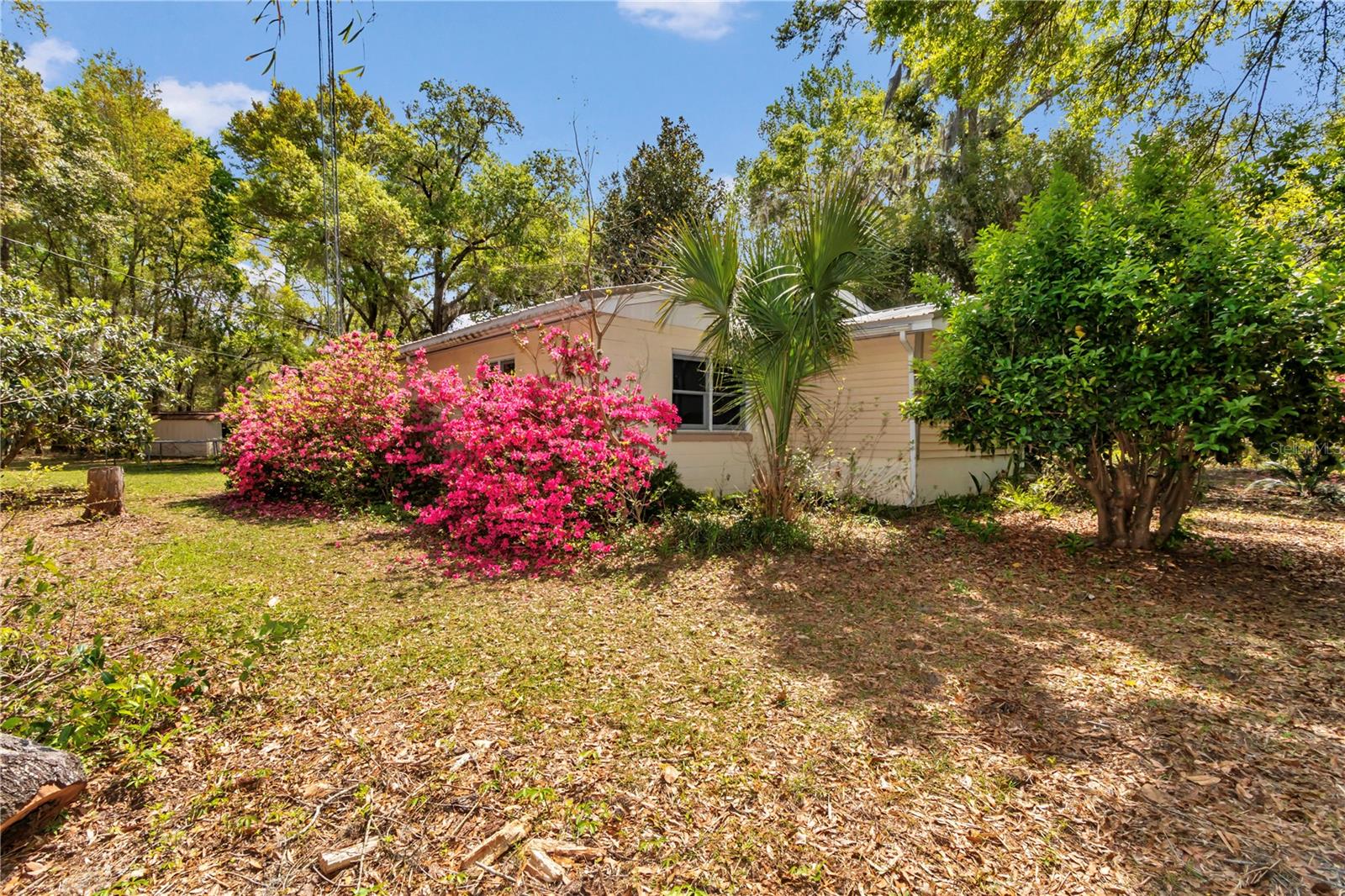 751 NE 140TH AVE, WILLISTON, FL, 32696