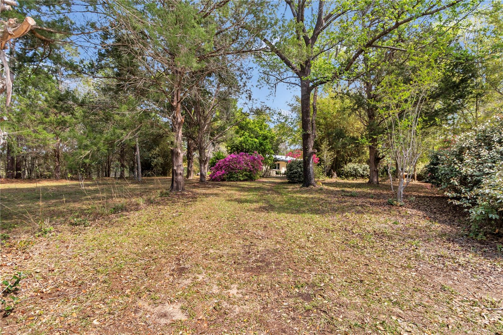 751 NE 140TH AVE, WILLISTON, FL, 32696