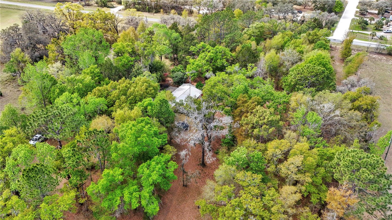 751 NE 140TH AVE, WILLISTON, FL, 32696