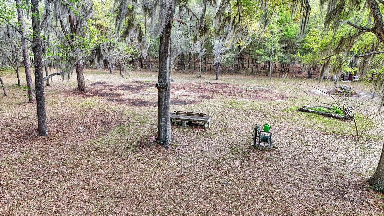 751 NE 140TH AVE, WILLISTON, FL, 32696