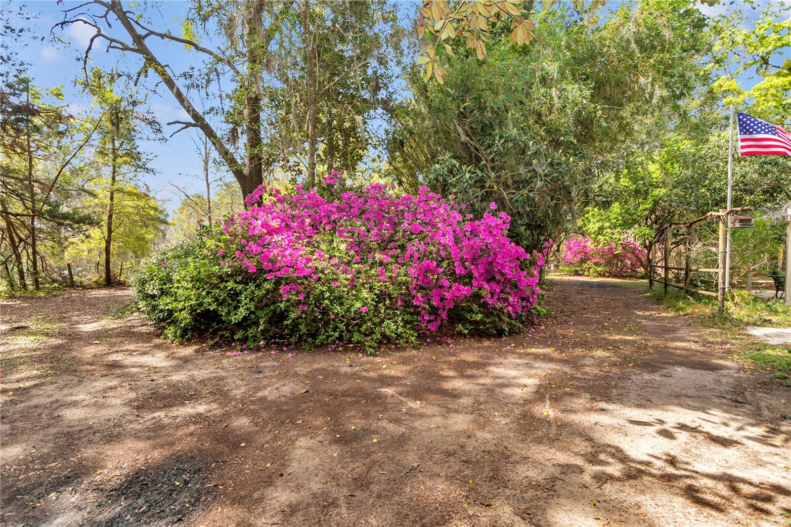 751 NE 140TH AVE, WILLISTON, FL, 32696
