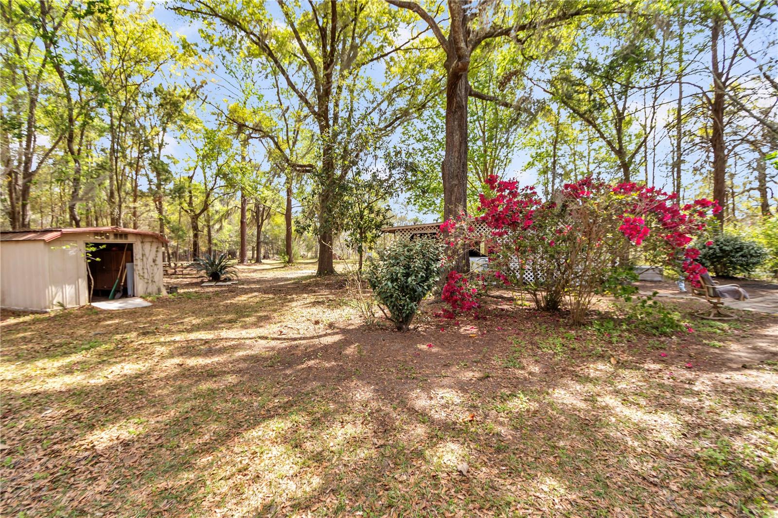 751 NE 140TH AVE, WILLISTON, FL, 32696