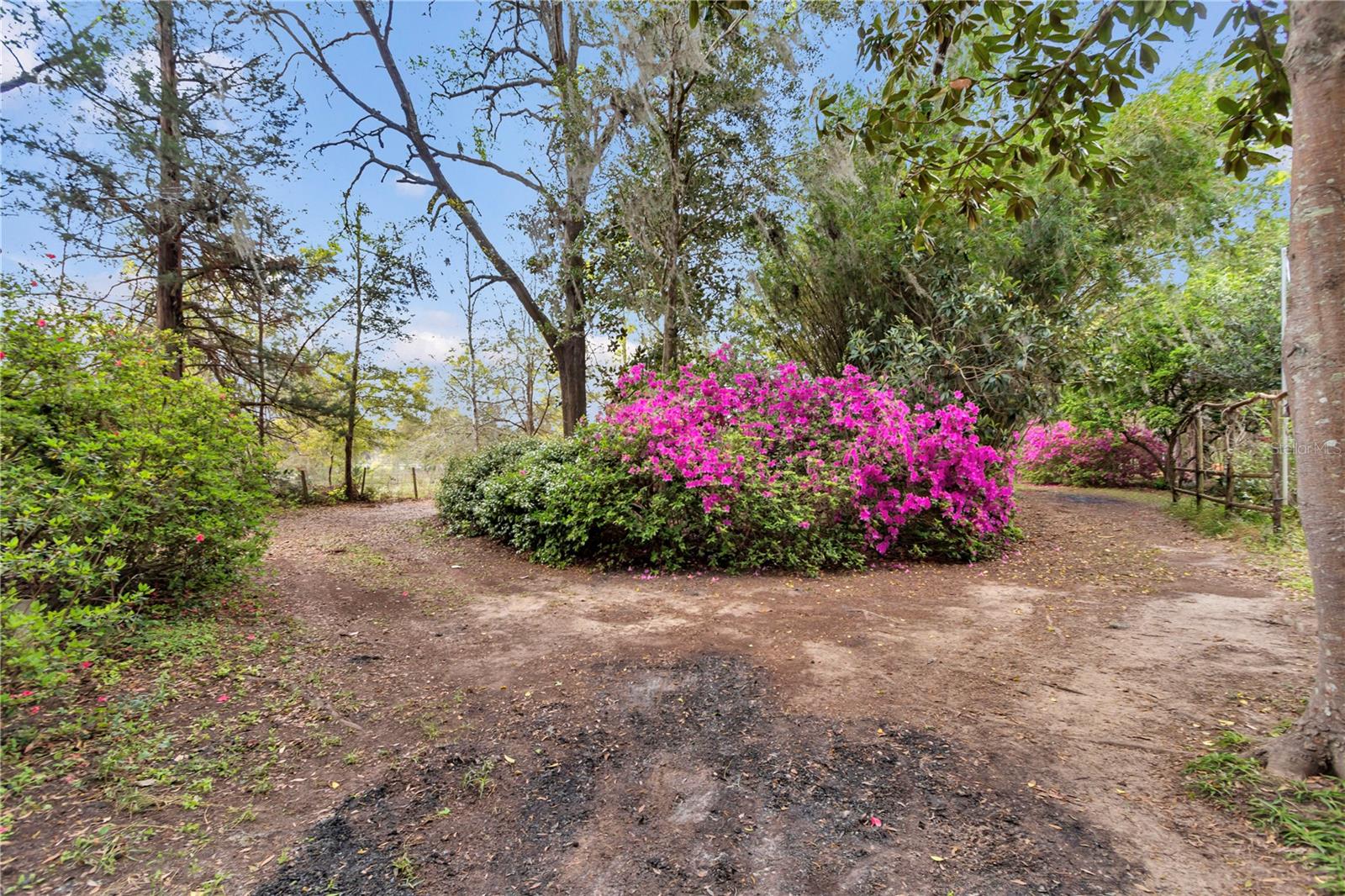 751 NE 140TH AVE, WILLISTON, FL, 32696