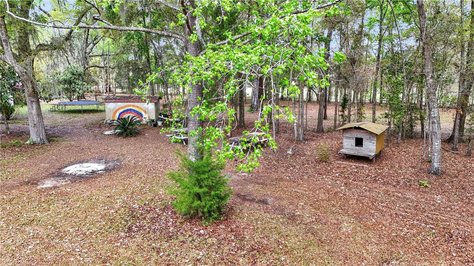 751 NE 140TH AVE, WILLISTON, FL, 32696