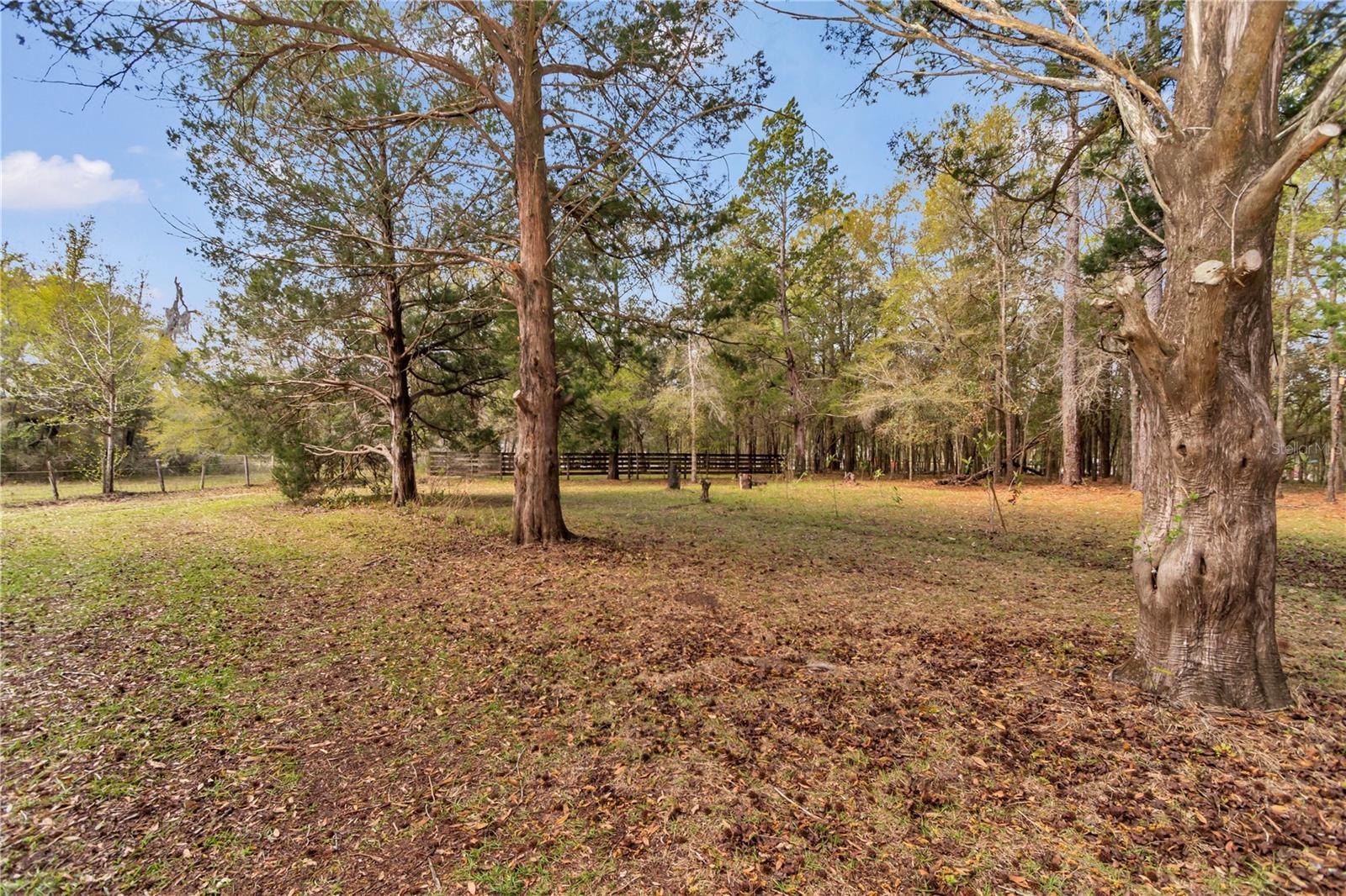 751 NE 140TH AVE, WILLISTON, FL, 32696