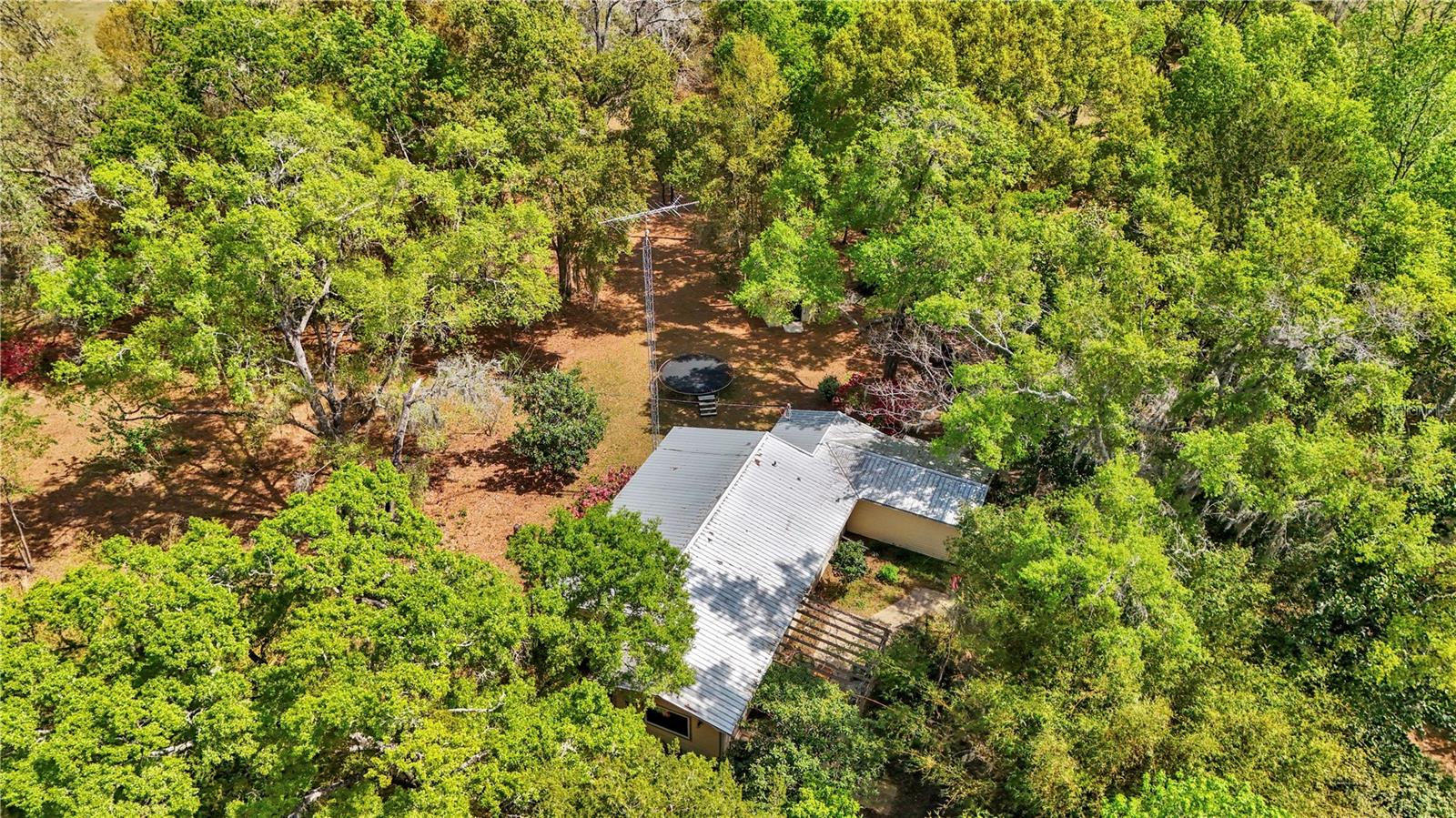 751 NE 140TH AVE, WILLISTON, FL, 32696