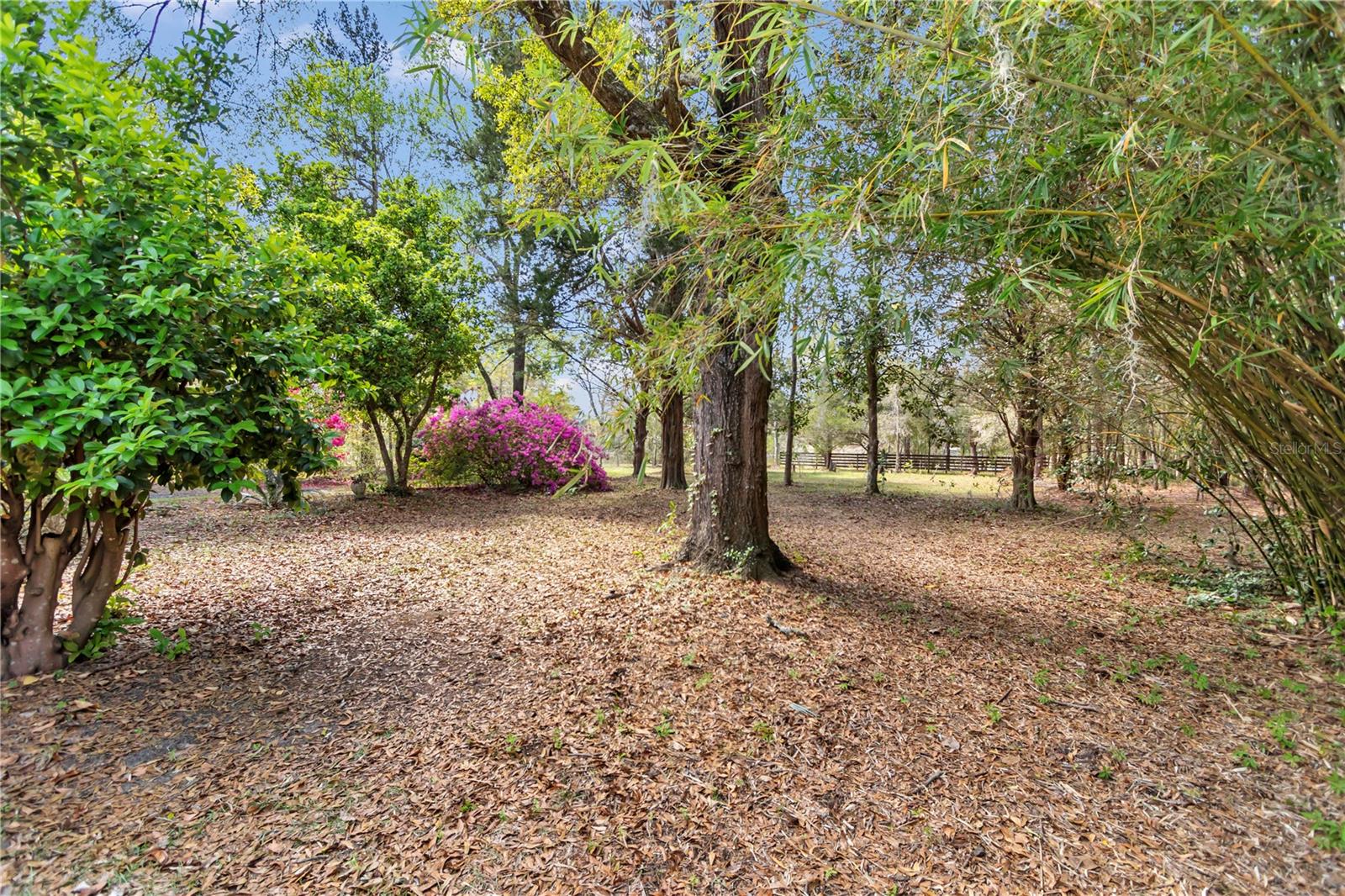751 NE 140TH AVE, WILLISTON, FL, 32696