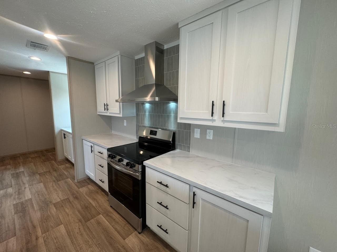17450 TENTH AVE, UMATILLA, FL, 32784