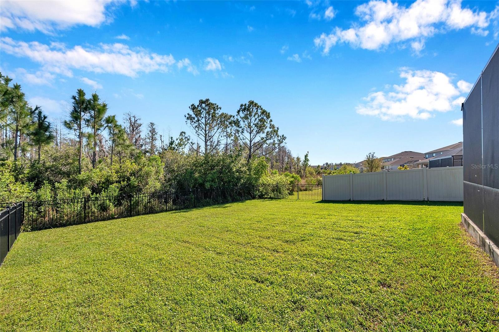 2934 LIVING CORAL DR, ODESSA, FL, 33556