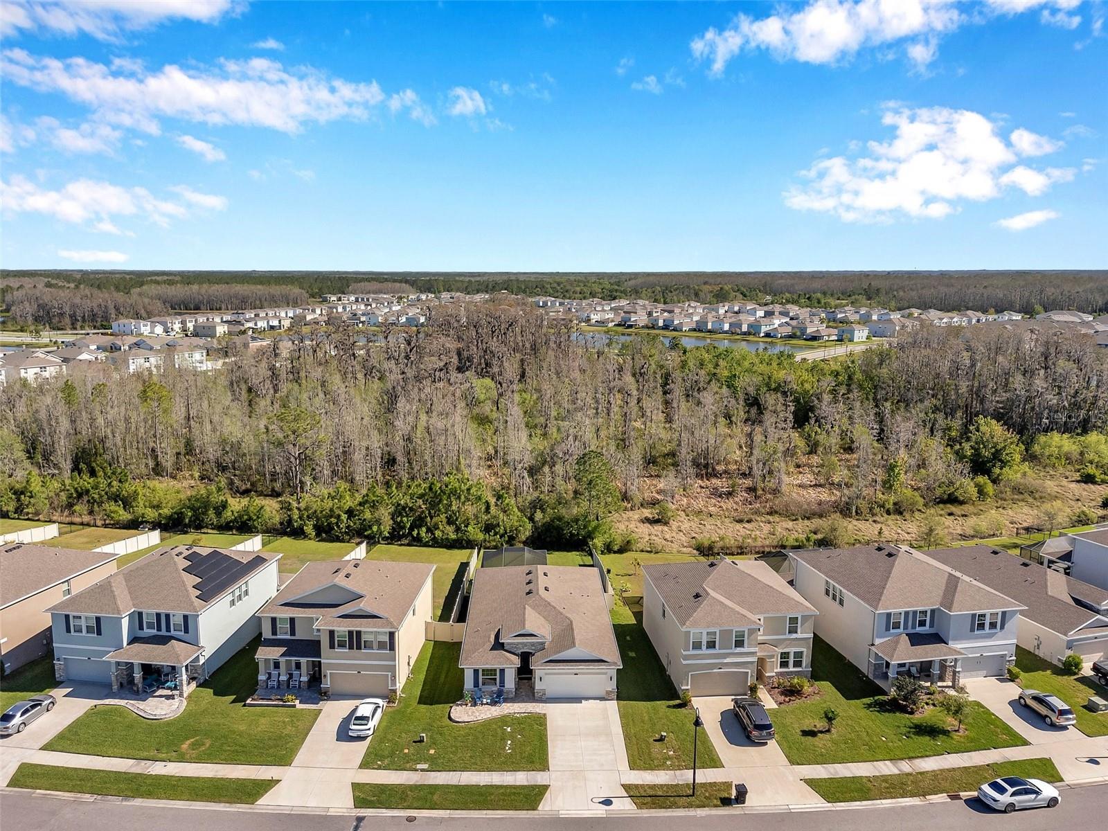 2934 LIVING CORAL DR, ODESSA, FL, 33556