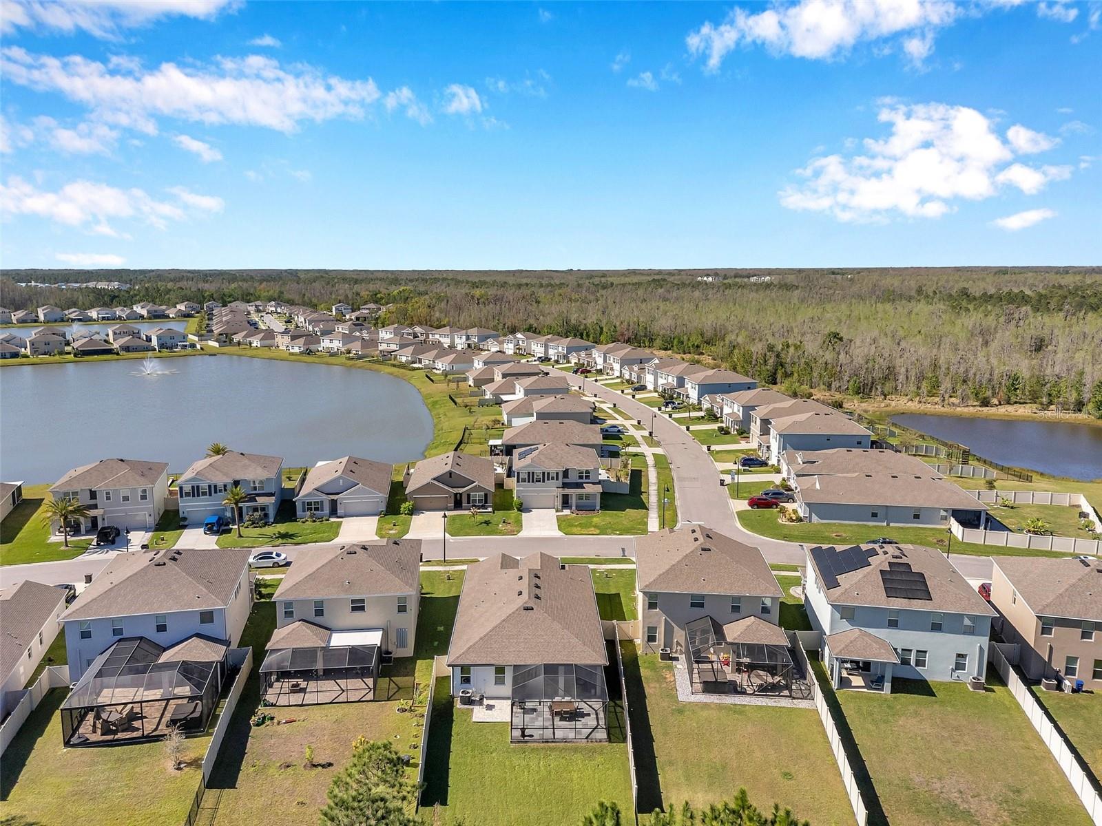 2934 LIVING CORAL DR, ODESSA, FL, 33556