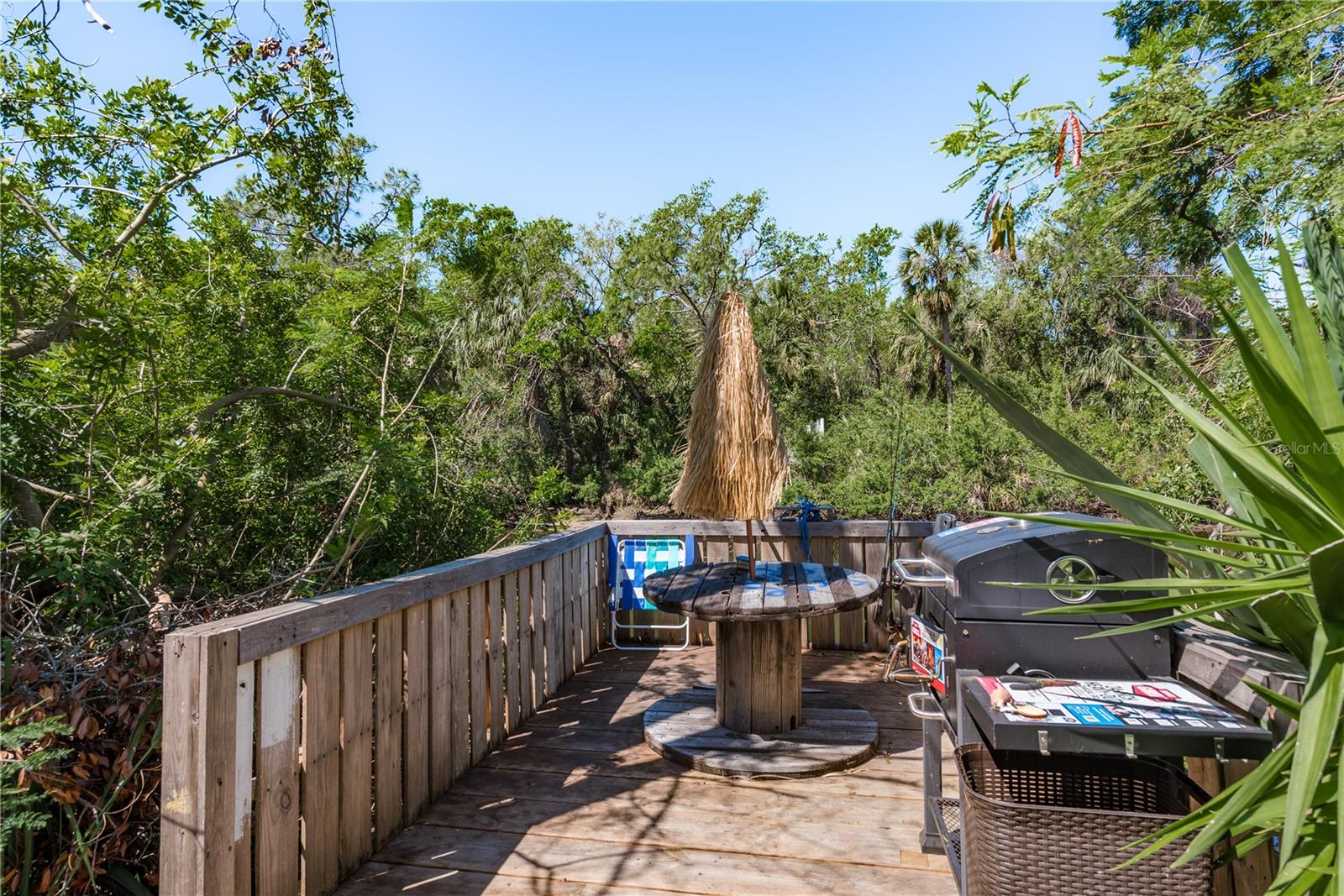 8423 JACKSON SPRINGS RD, TAMPA, FL, 33615