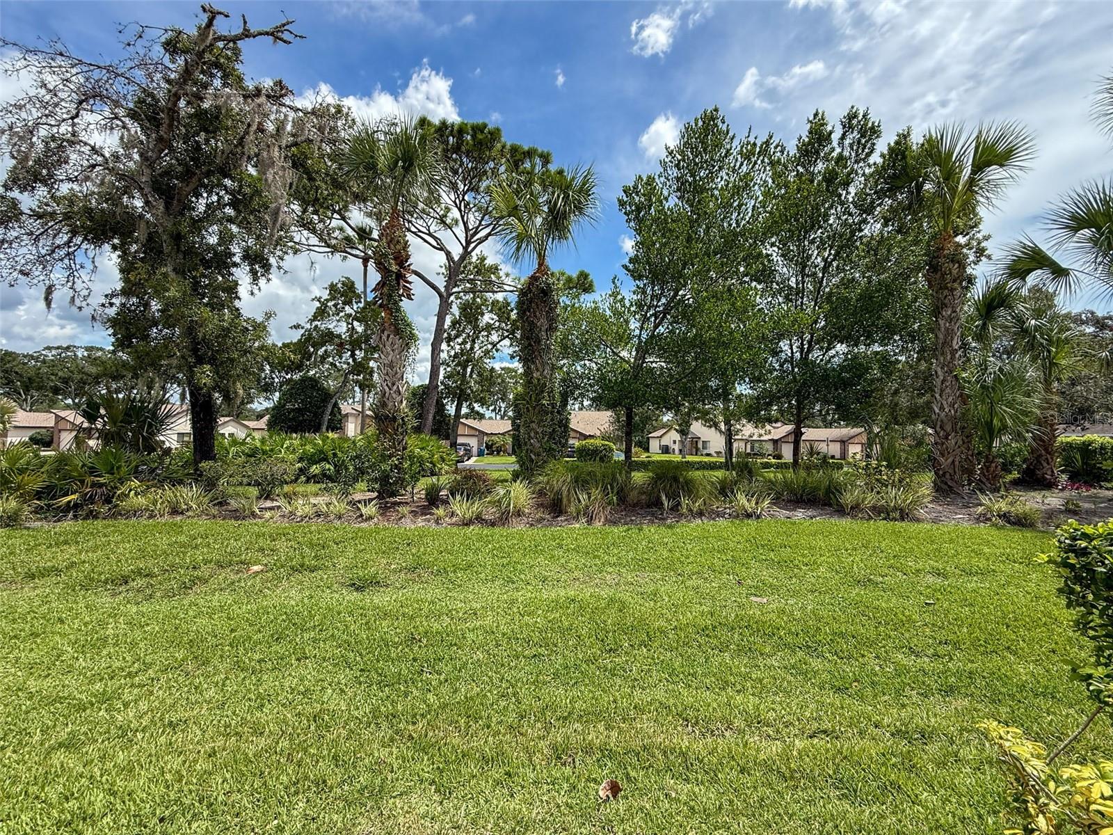 HEATHER WALK, WEEKI WACHEE, FL, 34613