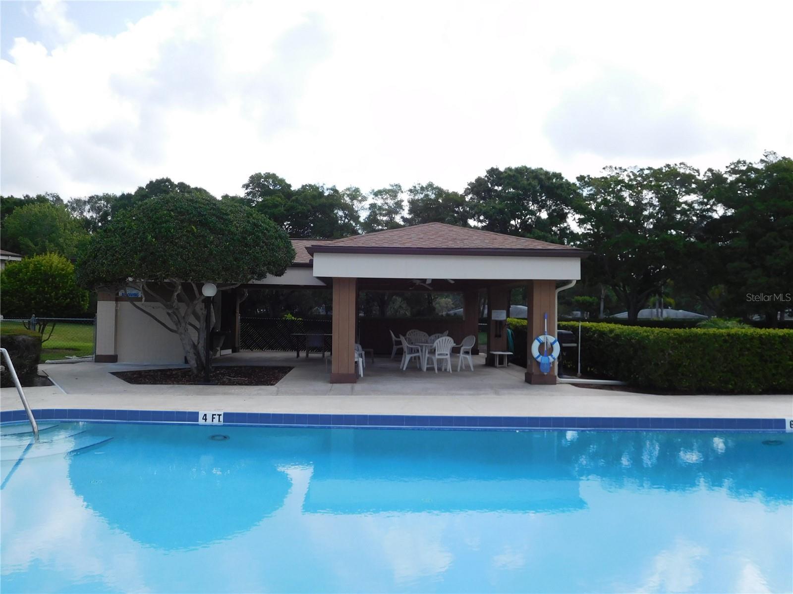 2700 NEBRASKA AVE #1-205, PALM HARBOR, FL, 34684