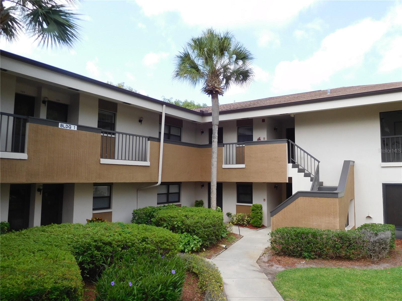 2700 NEBRASKA AVE #1-205, PALM HARBOR, FL, 34684