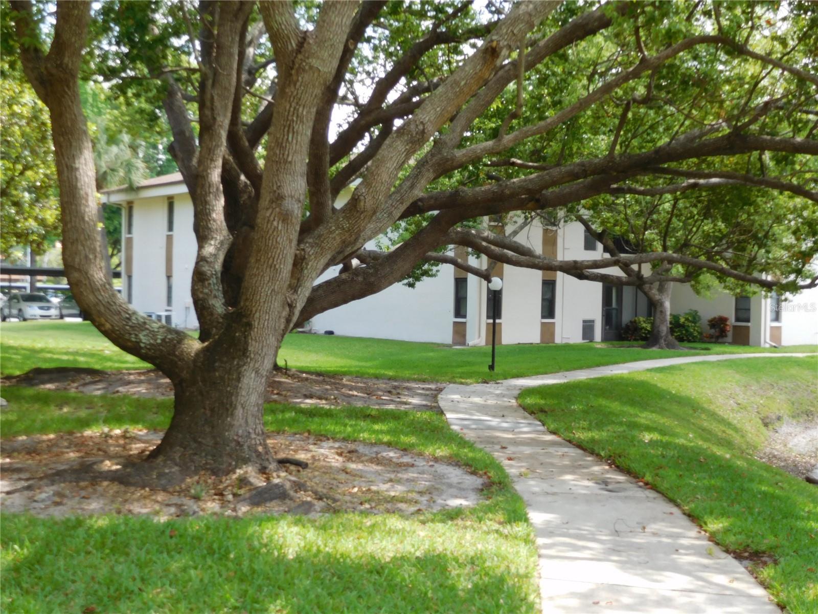 2700 NEBRASKA AVE #1-205, PALM HARBOR, FL, 34684